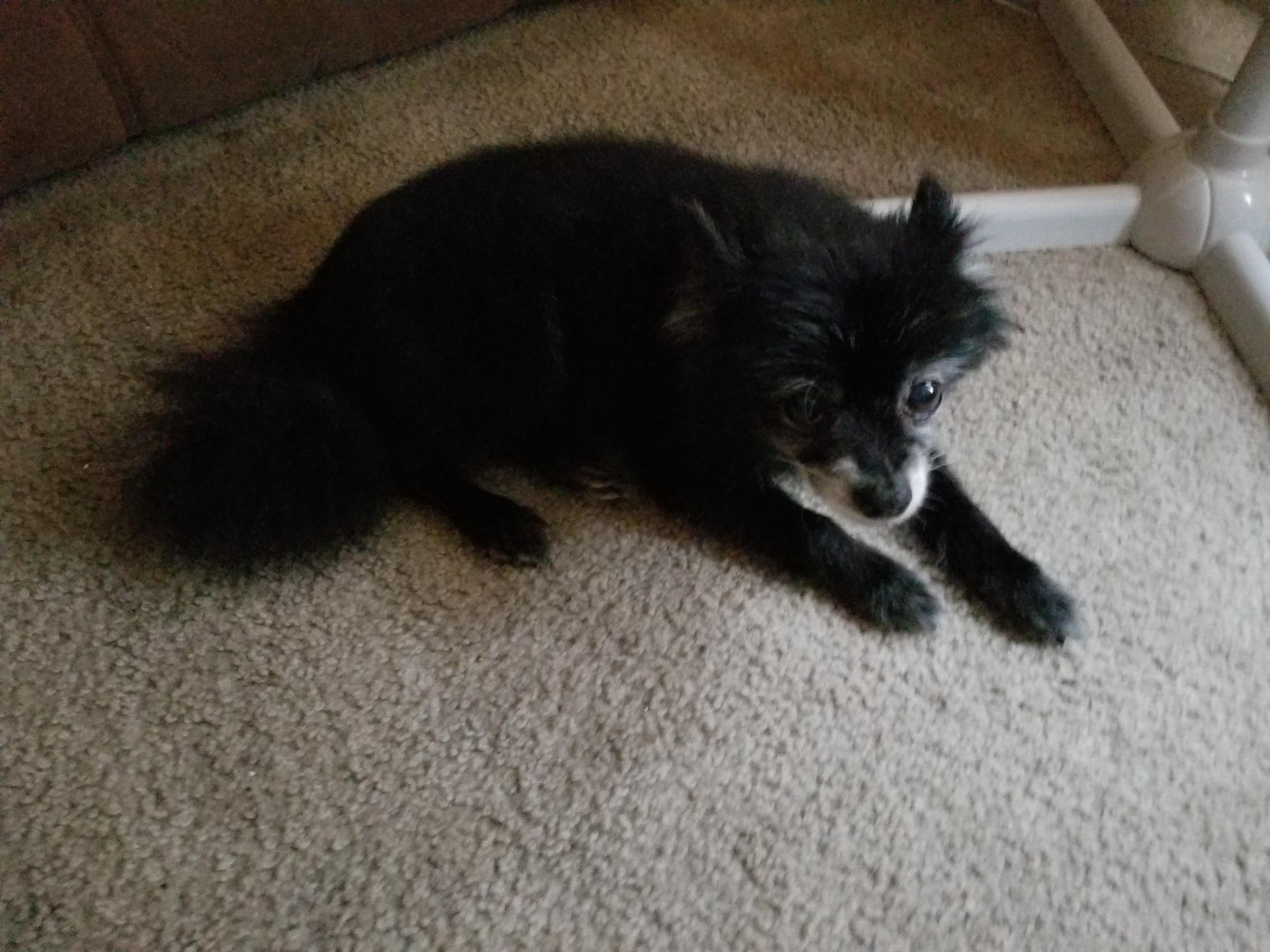 Question details sensitive content