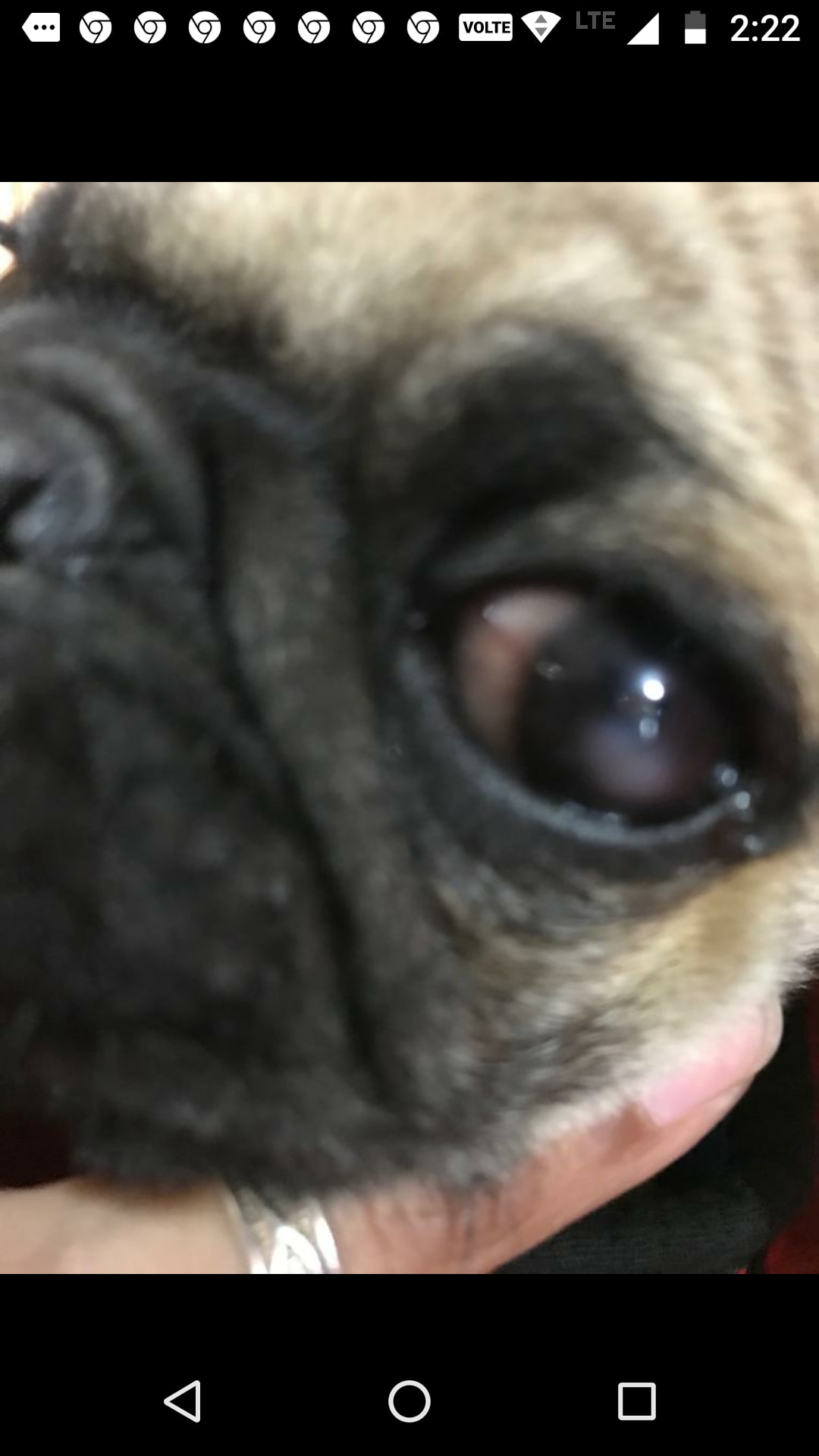 Question details sensitive content