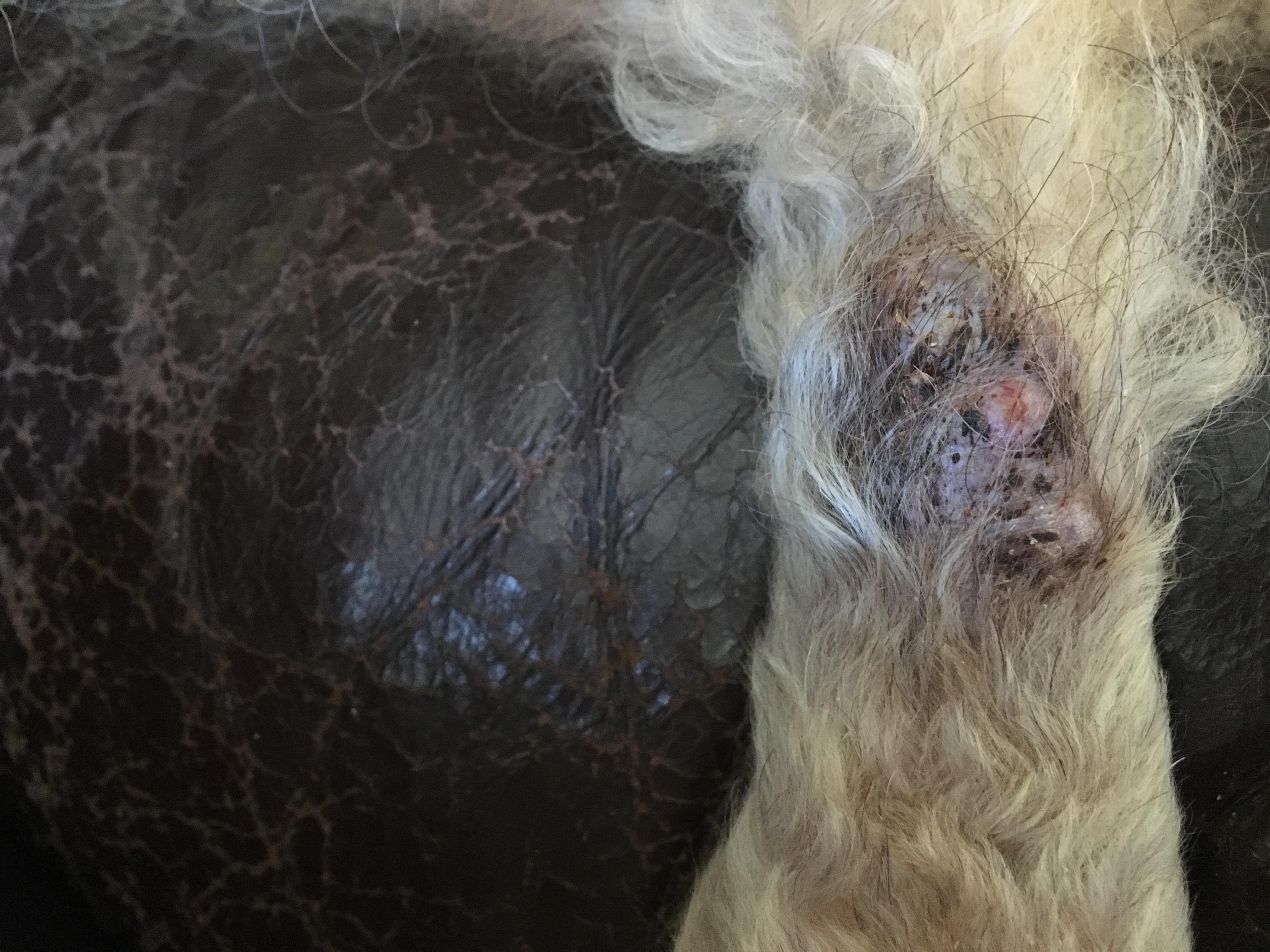 Question details sensitive content