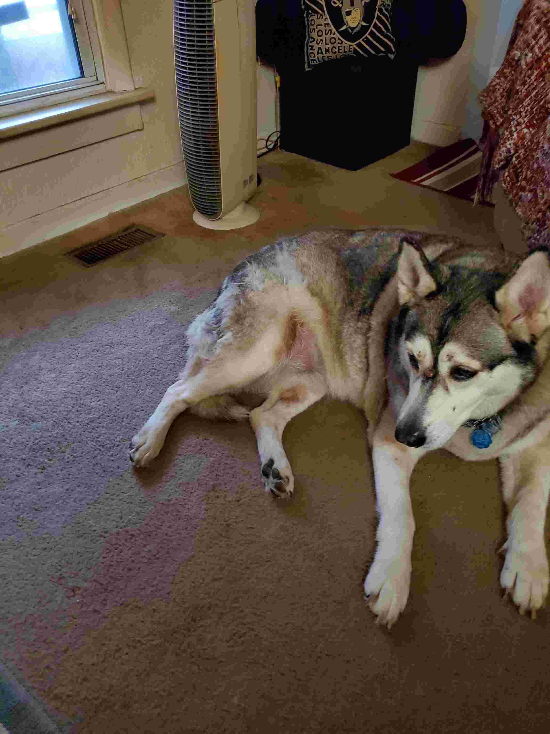 Question details sensitive content