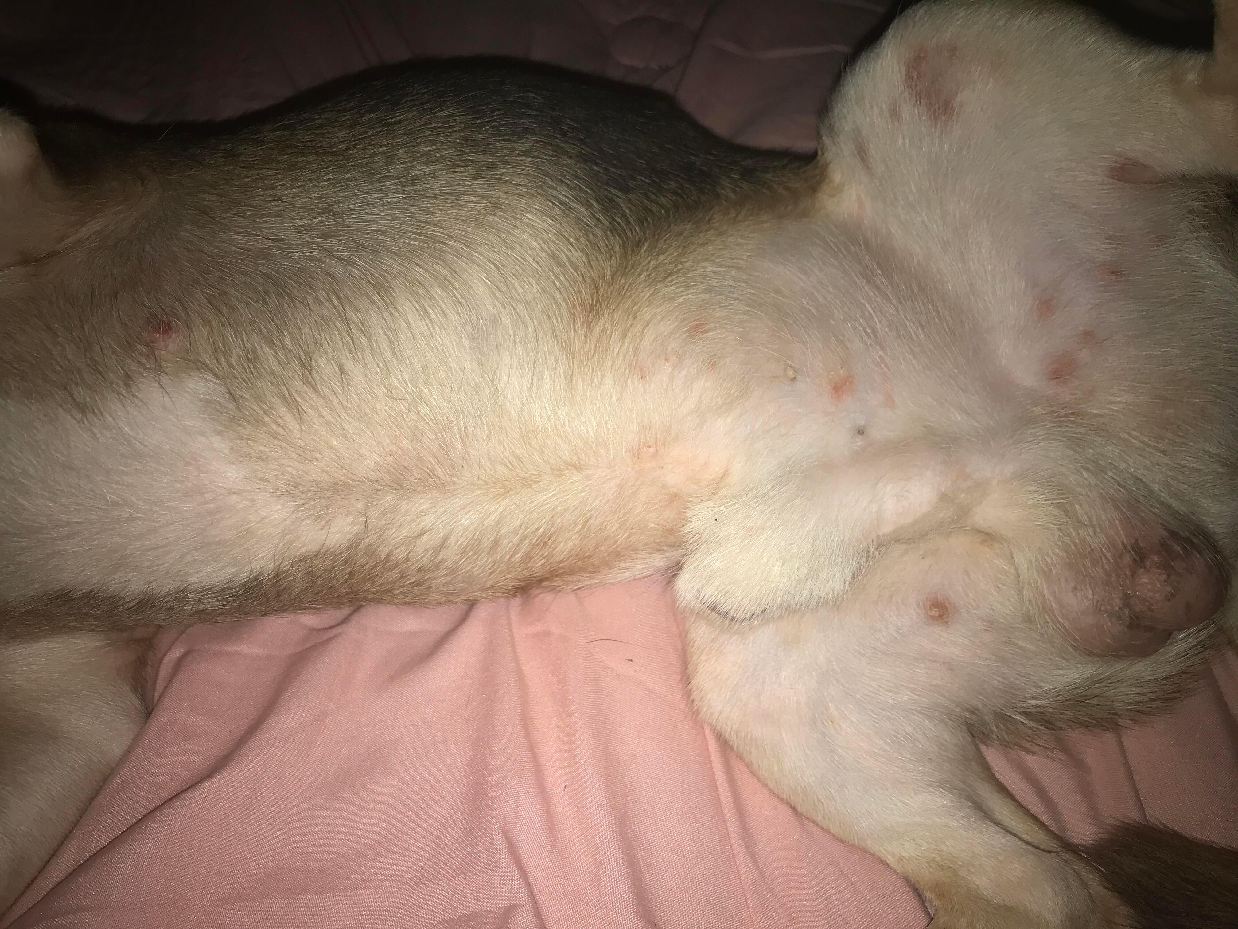 Question details sensitive content