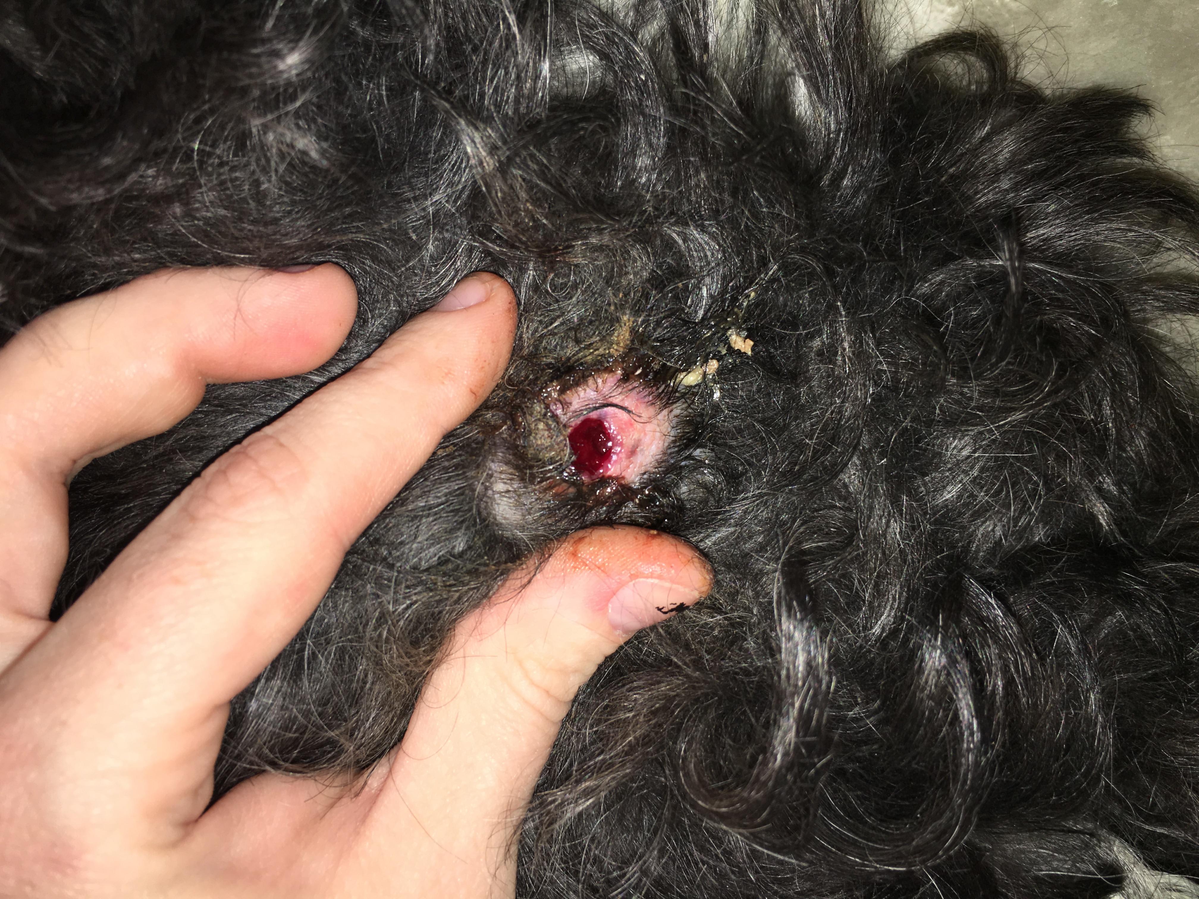 Question details sensitive content