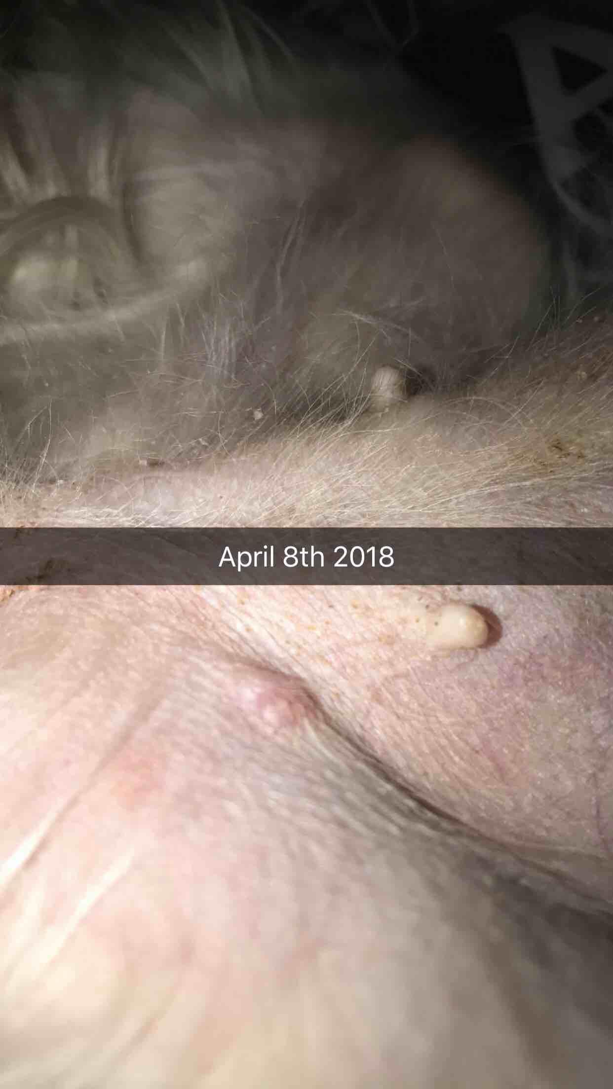 Question details sensitive content