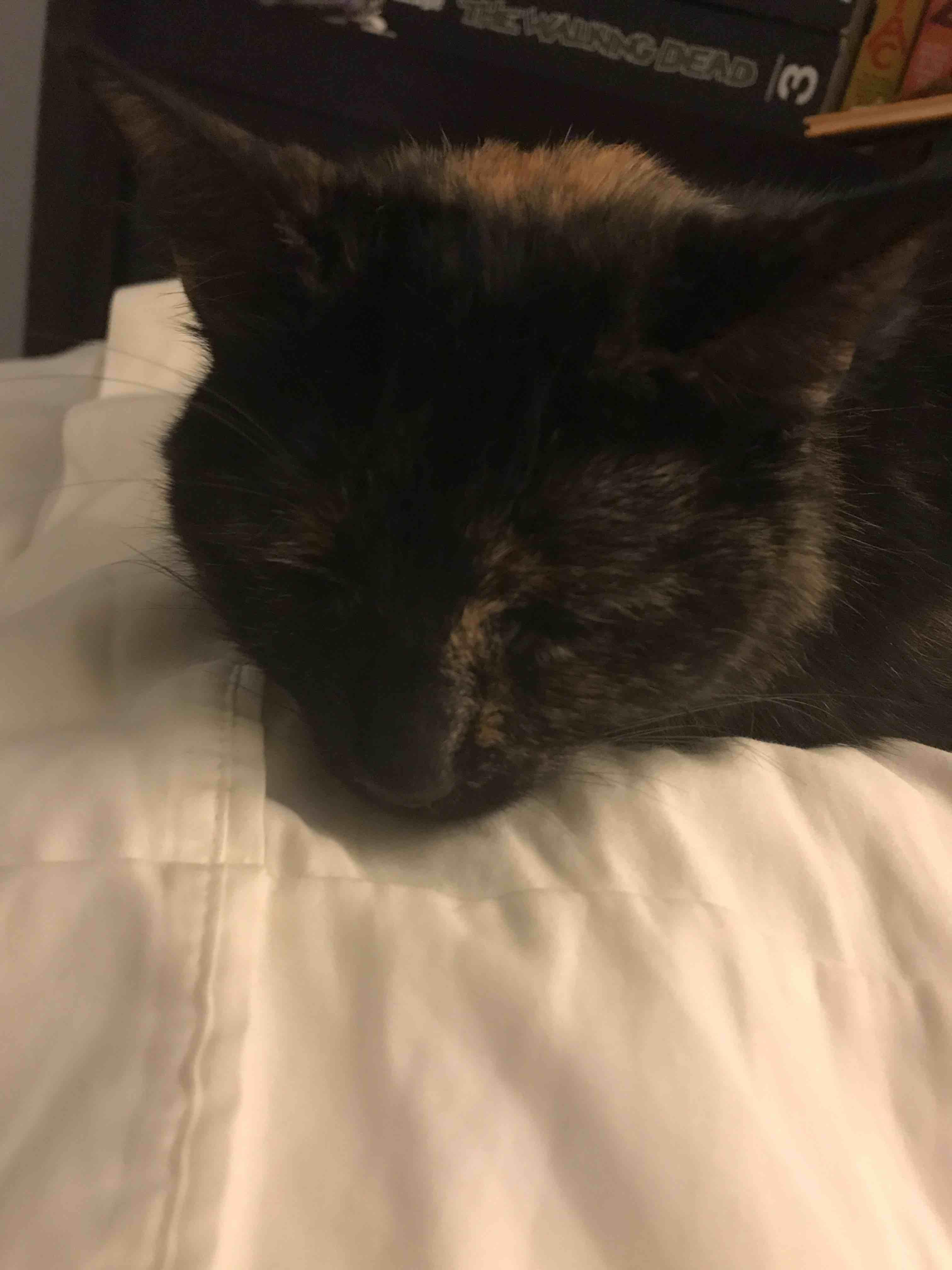 Question details sensitive content