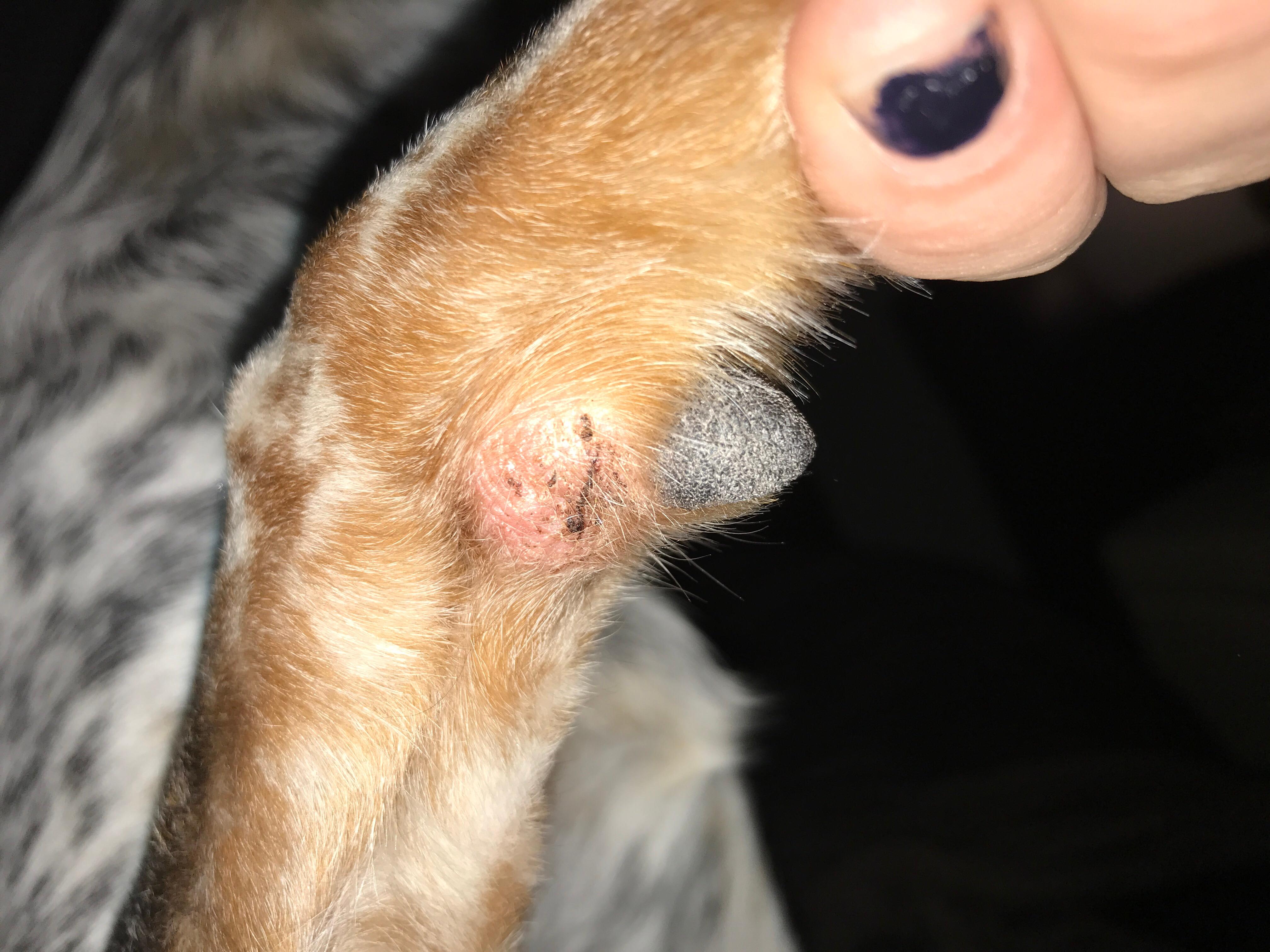 Question details sensitive content