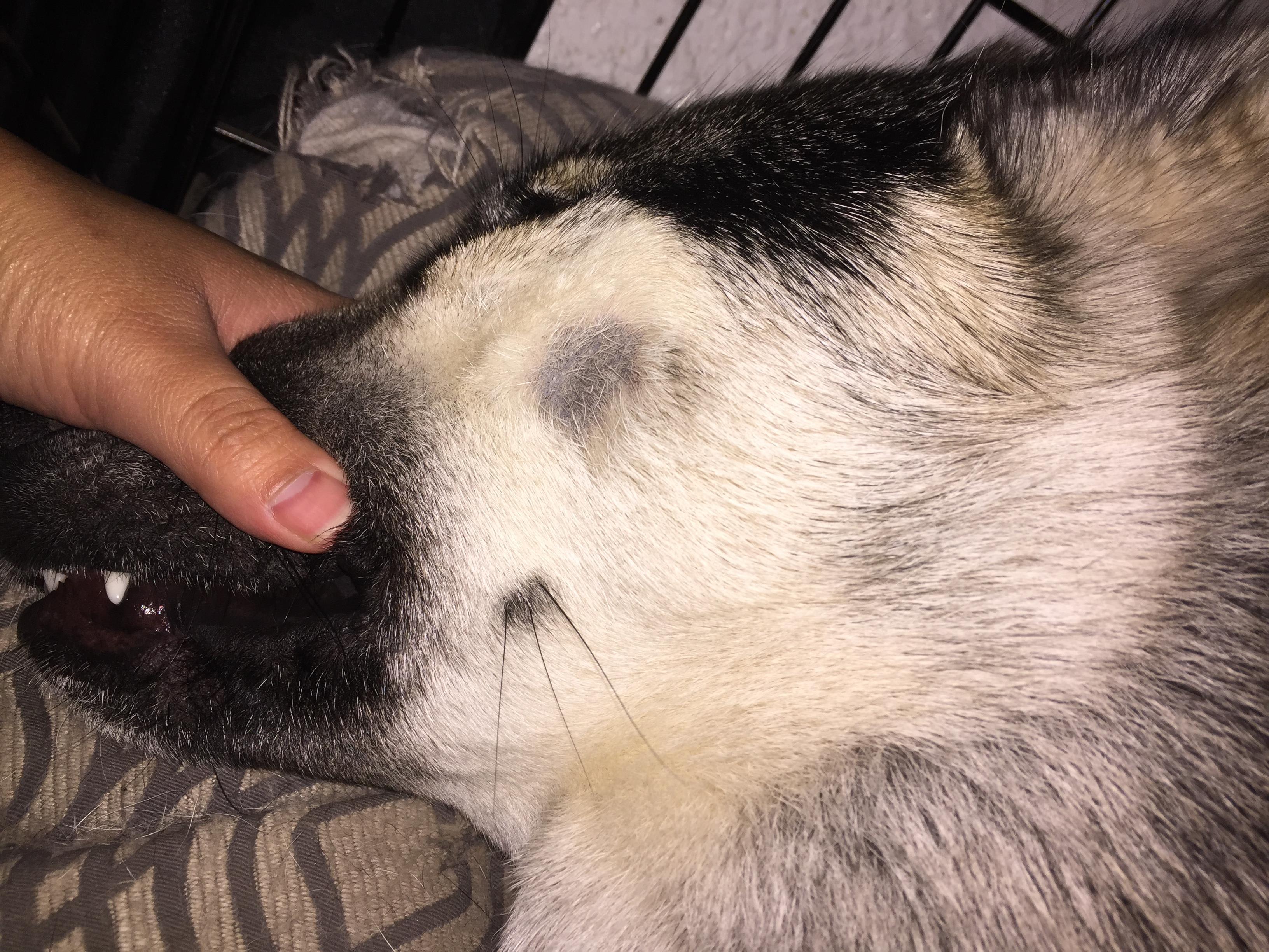 Question details sensitive content