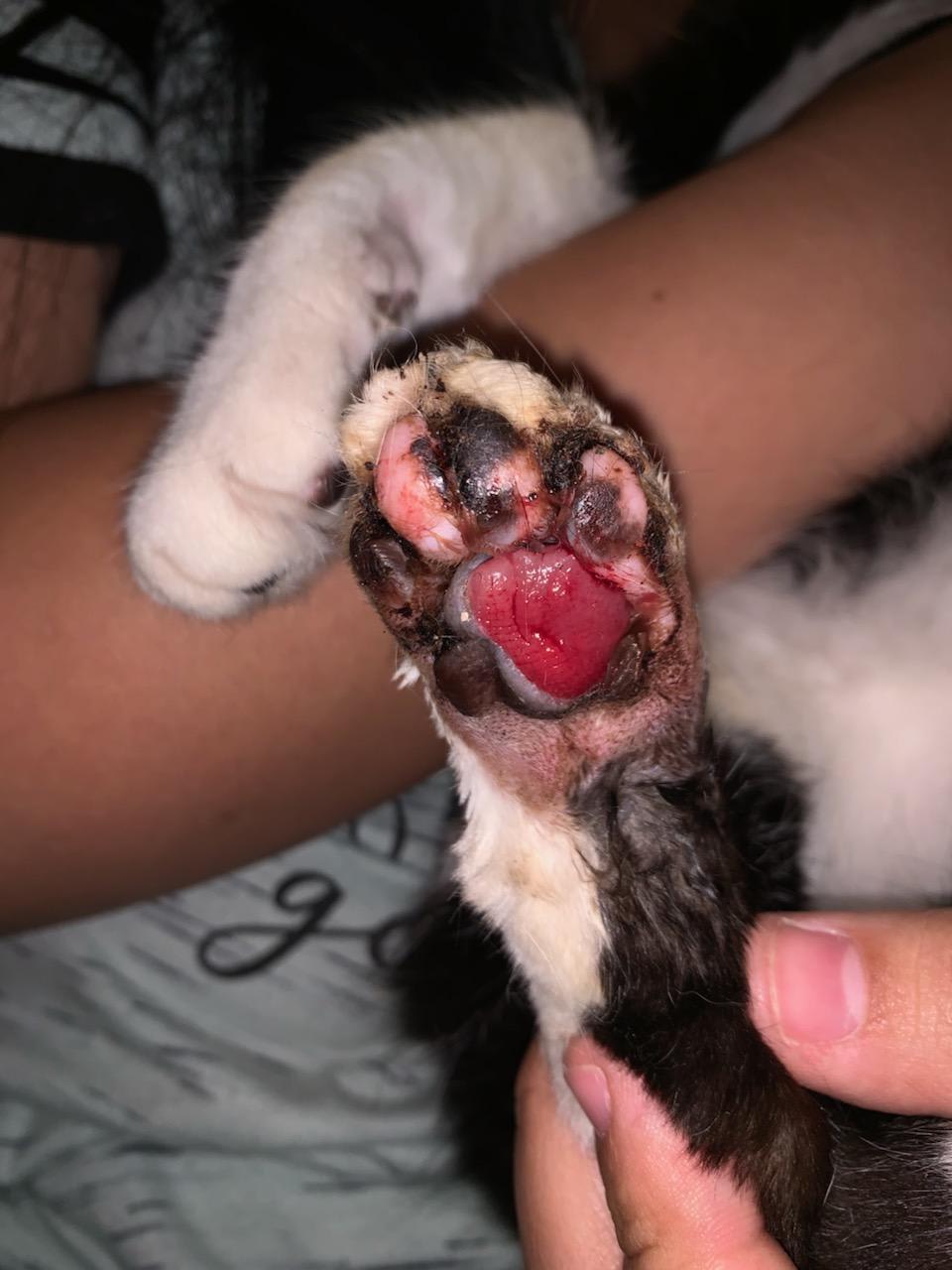 Question details sensitive content