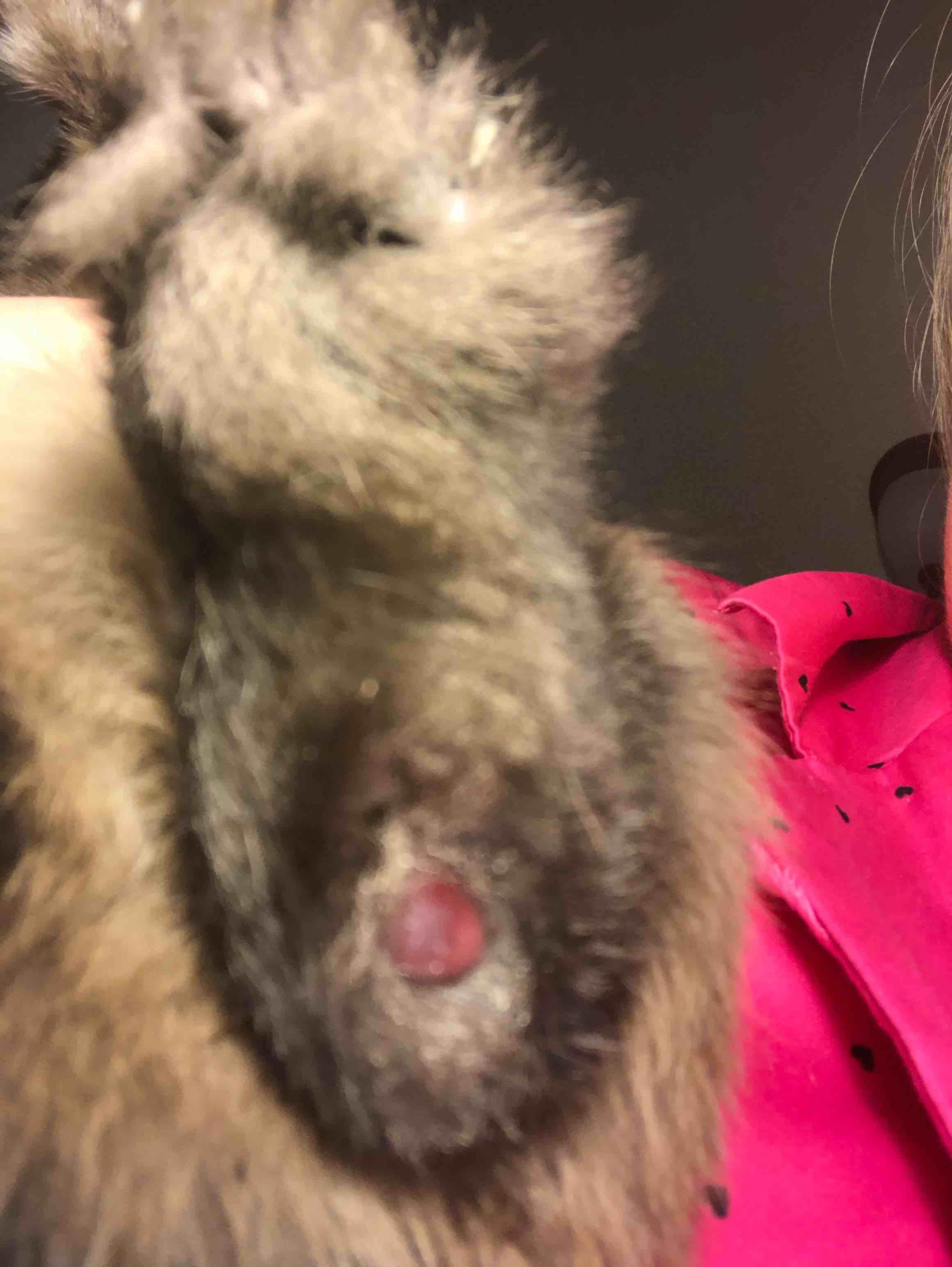 Question details sensitive content