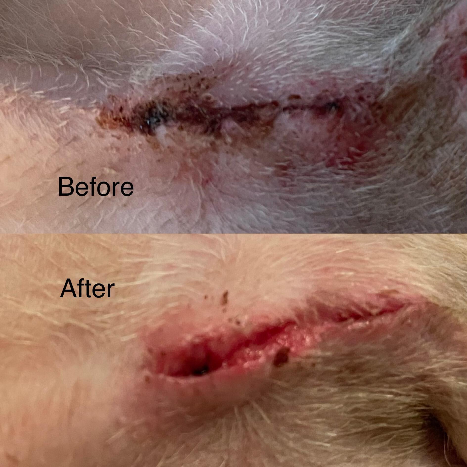 Question details sensitive content