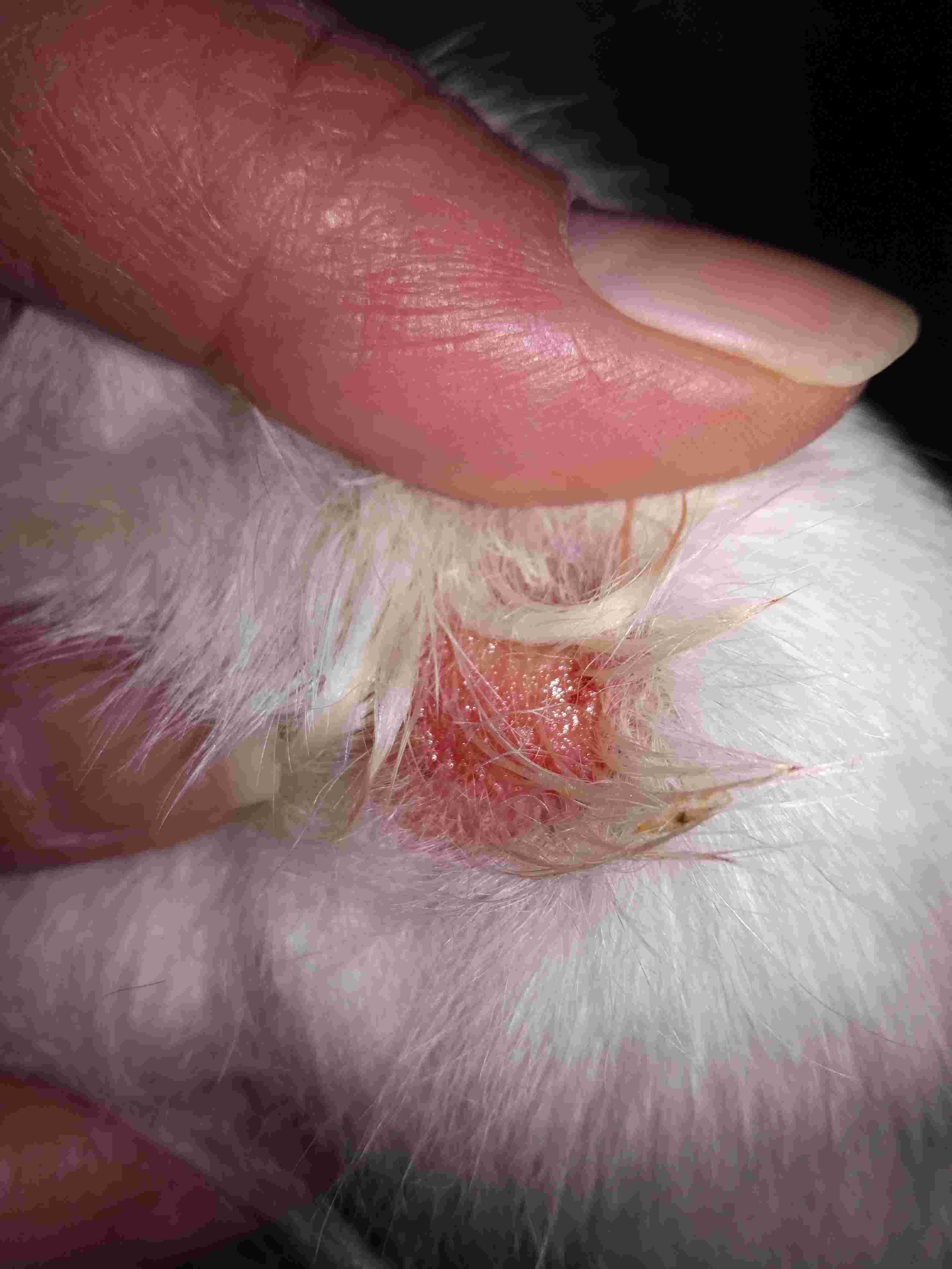 Question details sensitive content