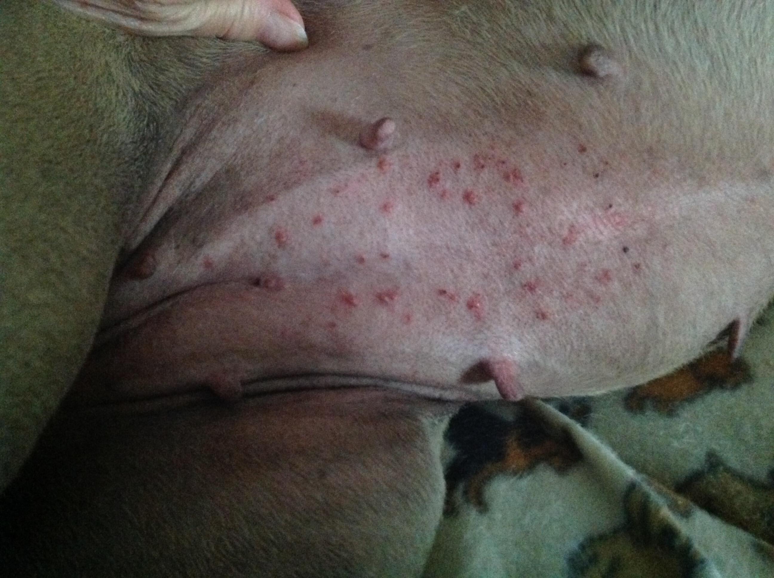 Question details sensitive content