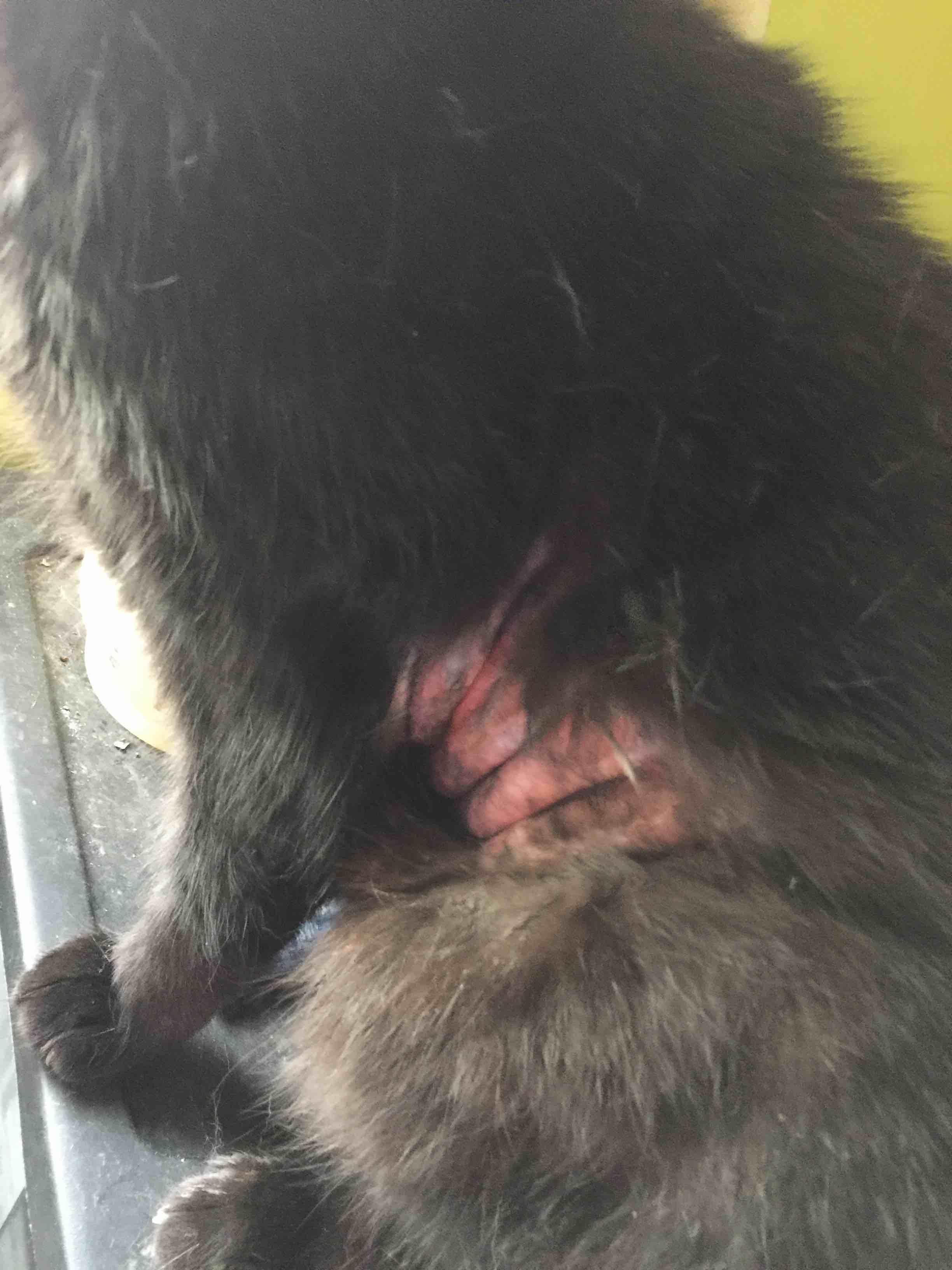 Question details sensitive content