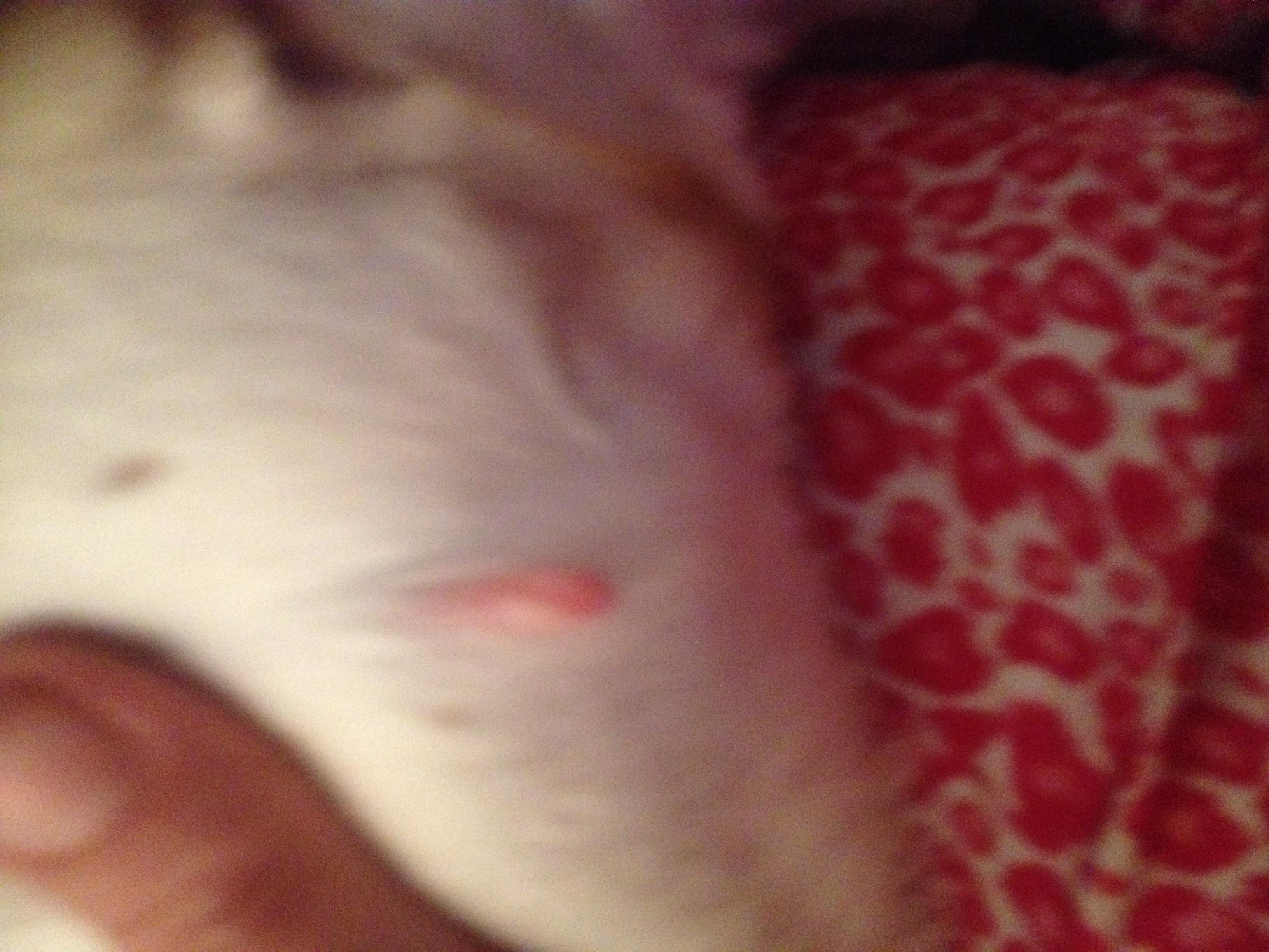 Question details sensitive content