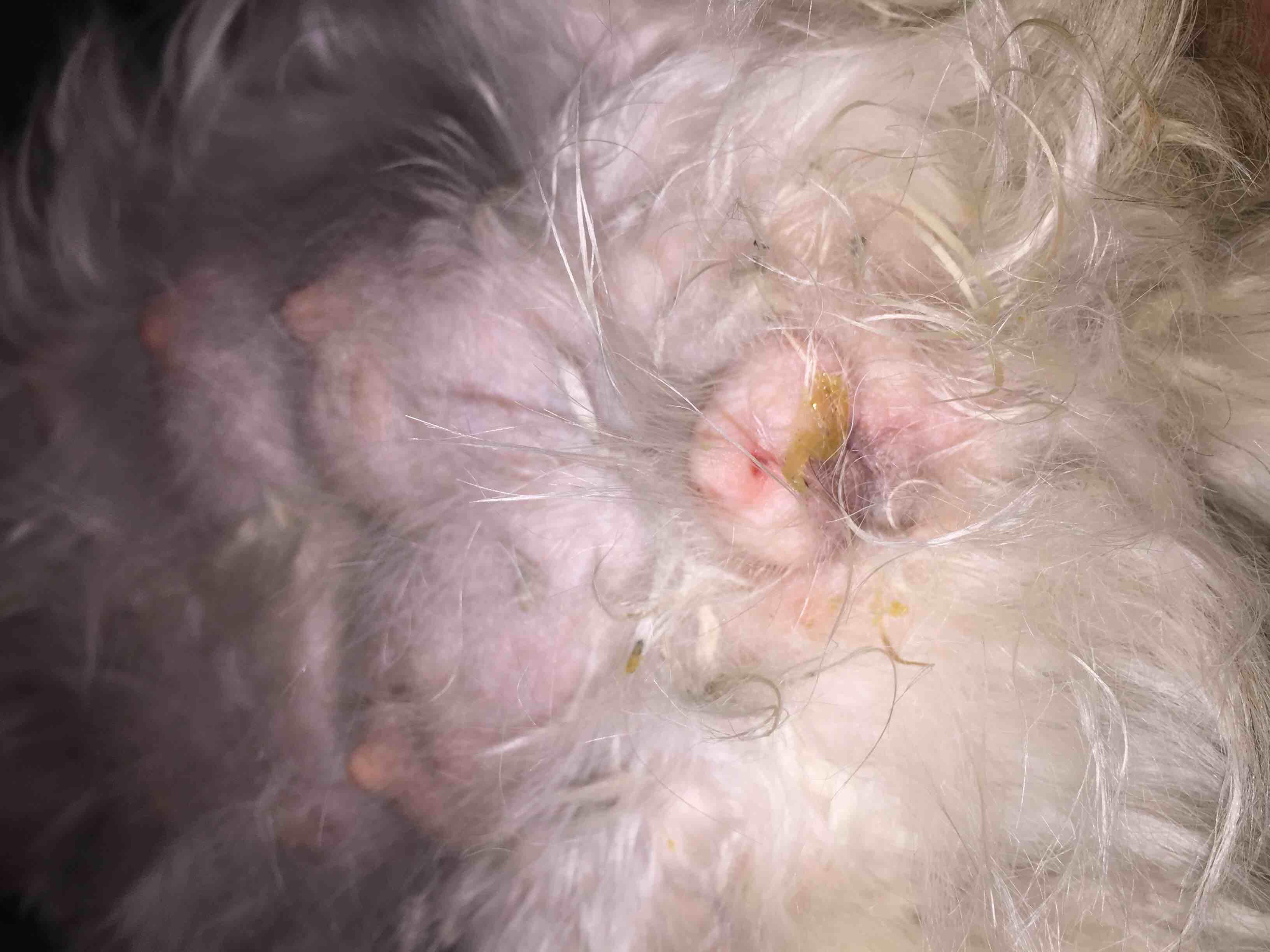 Question details sensitive content