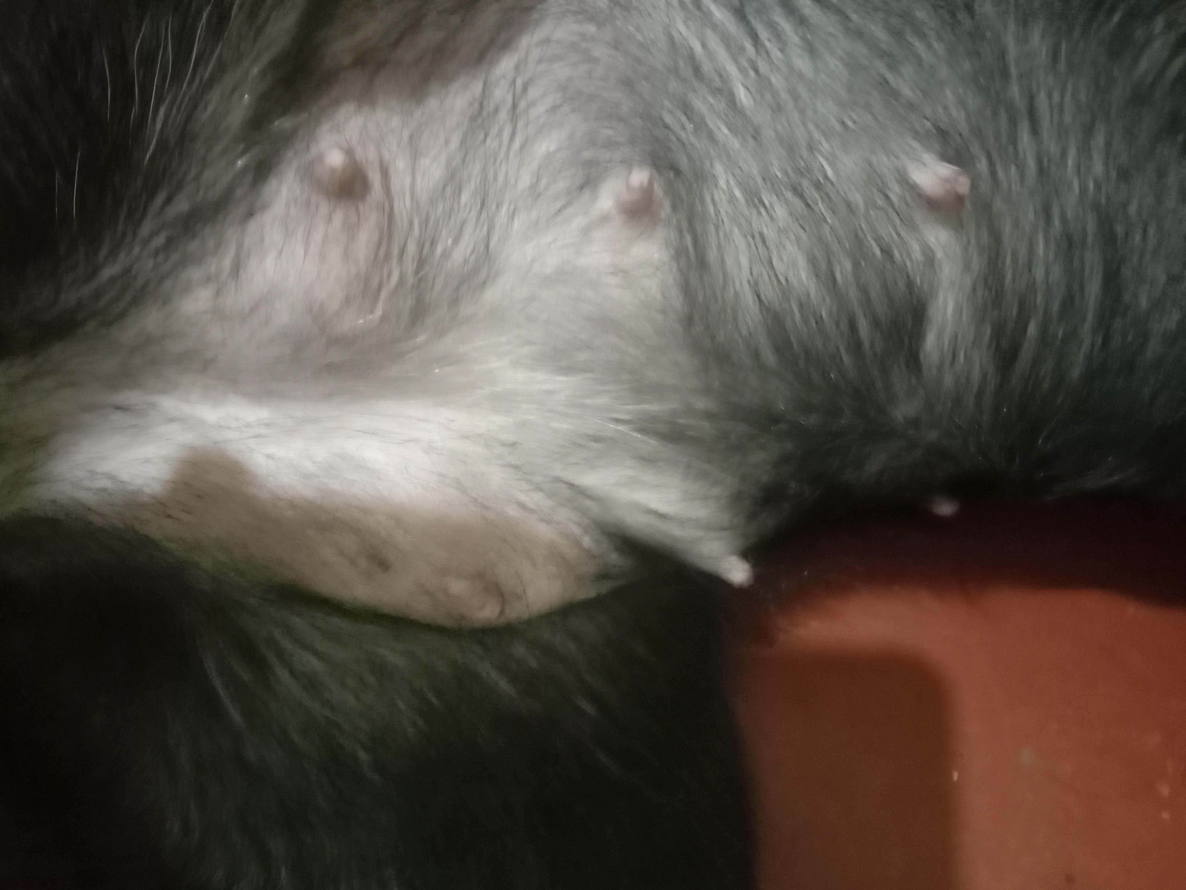 Question details sensitive content