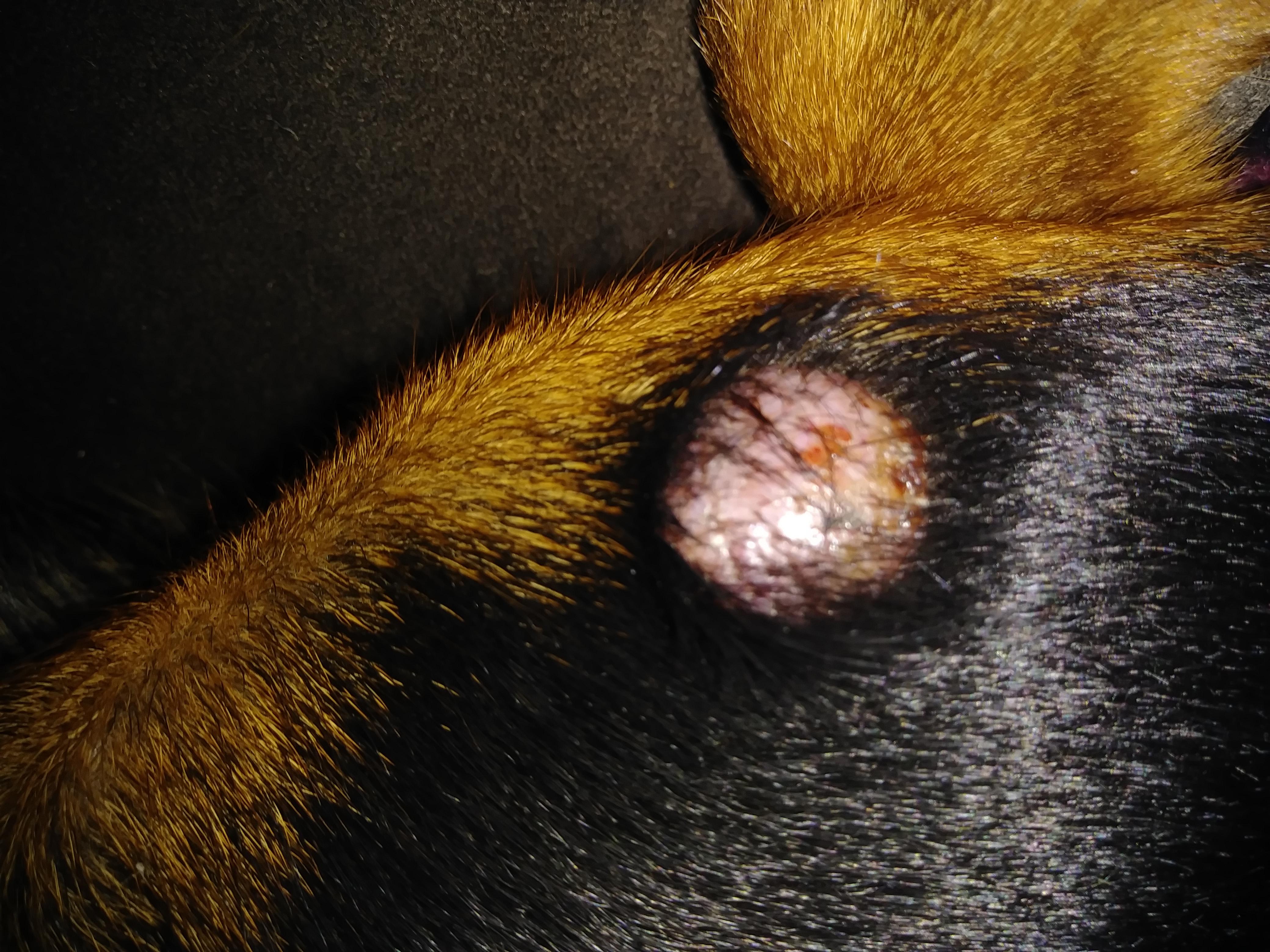 Question details sensitive content