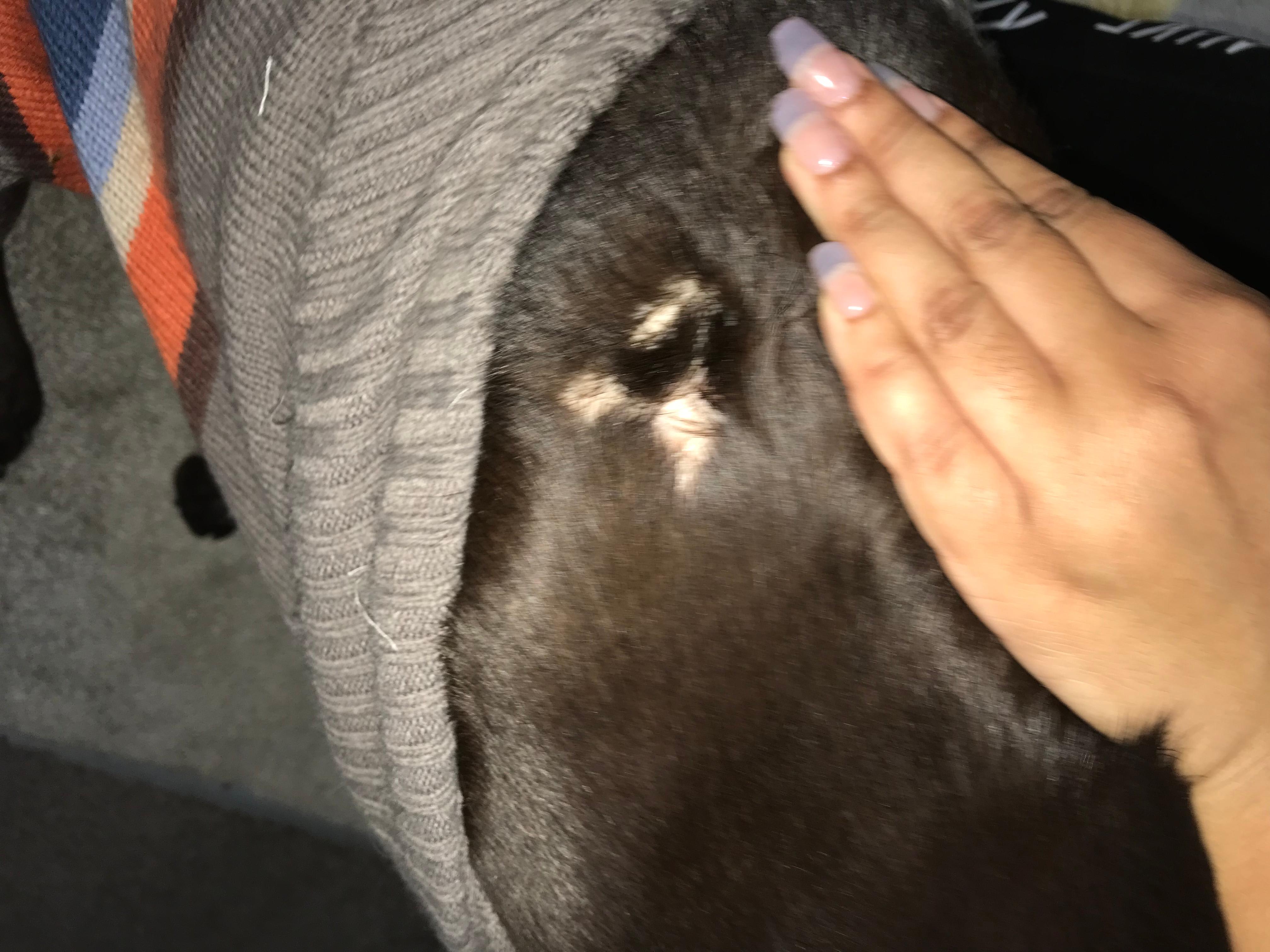 Question details sensitive content