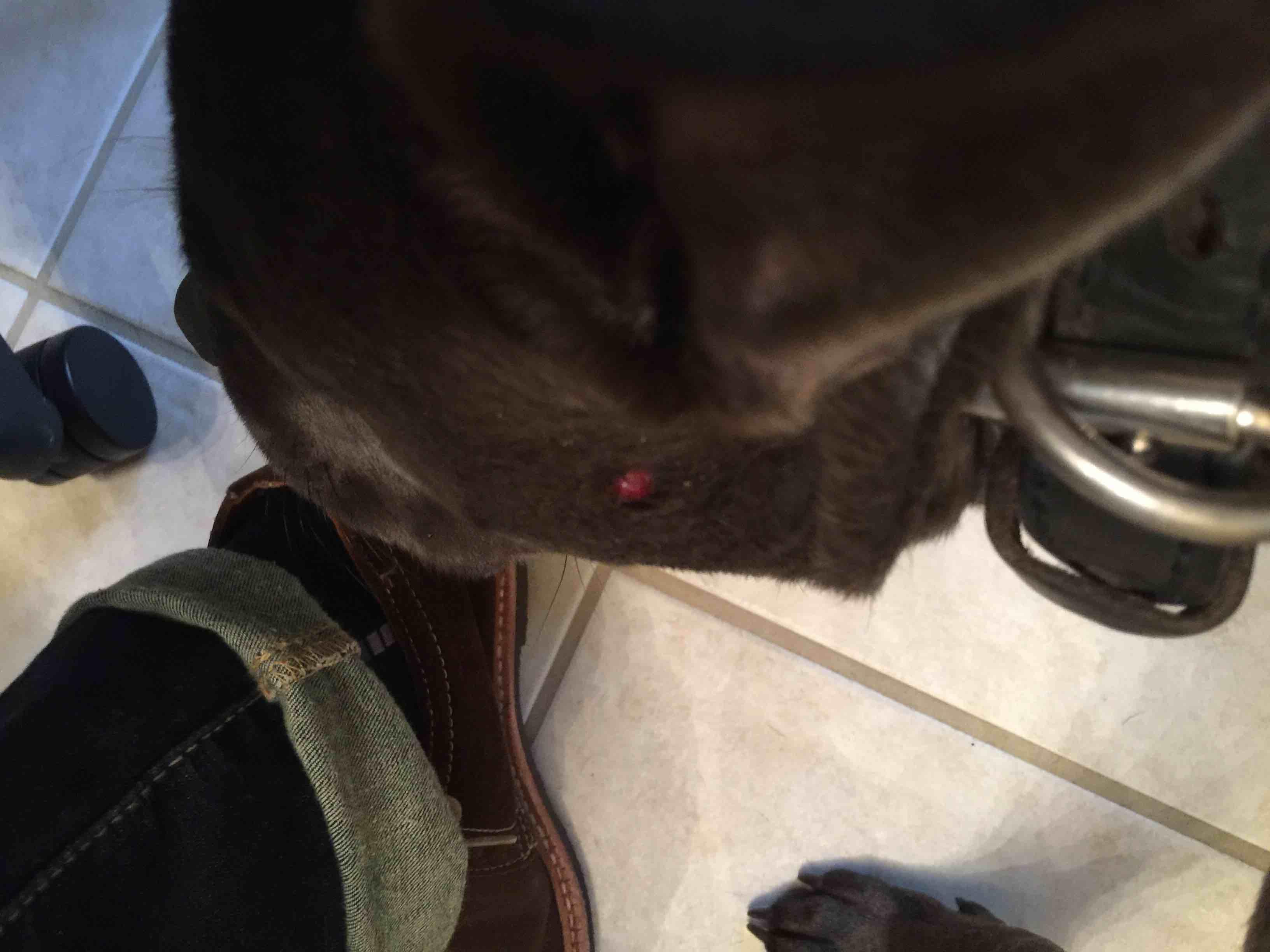 Question details sensitive content