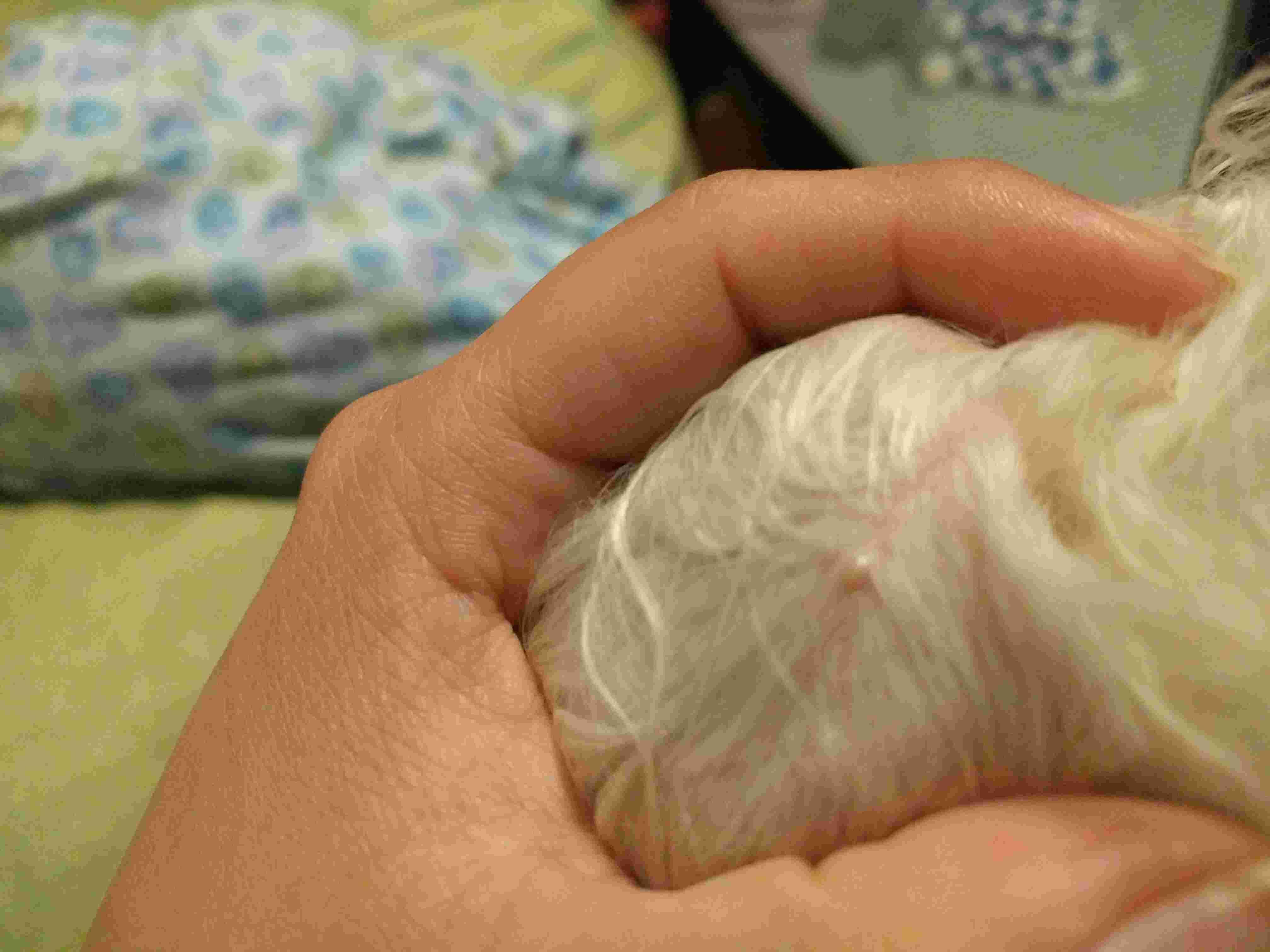 Question details sensitive content