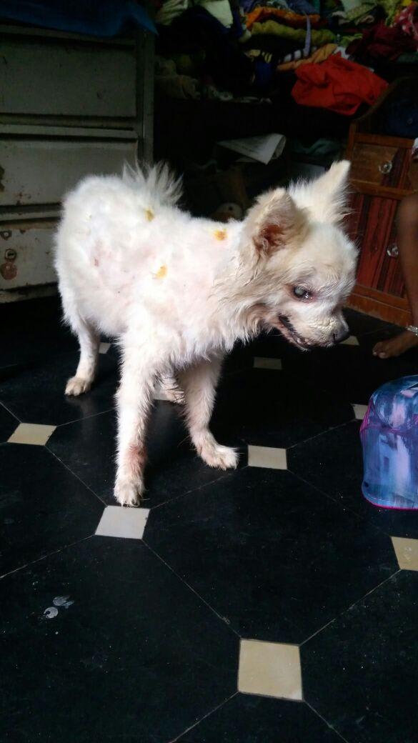 Question details sensitive content