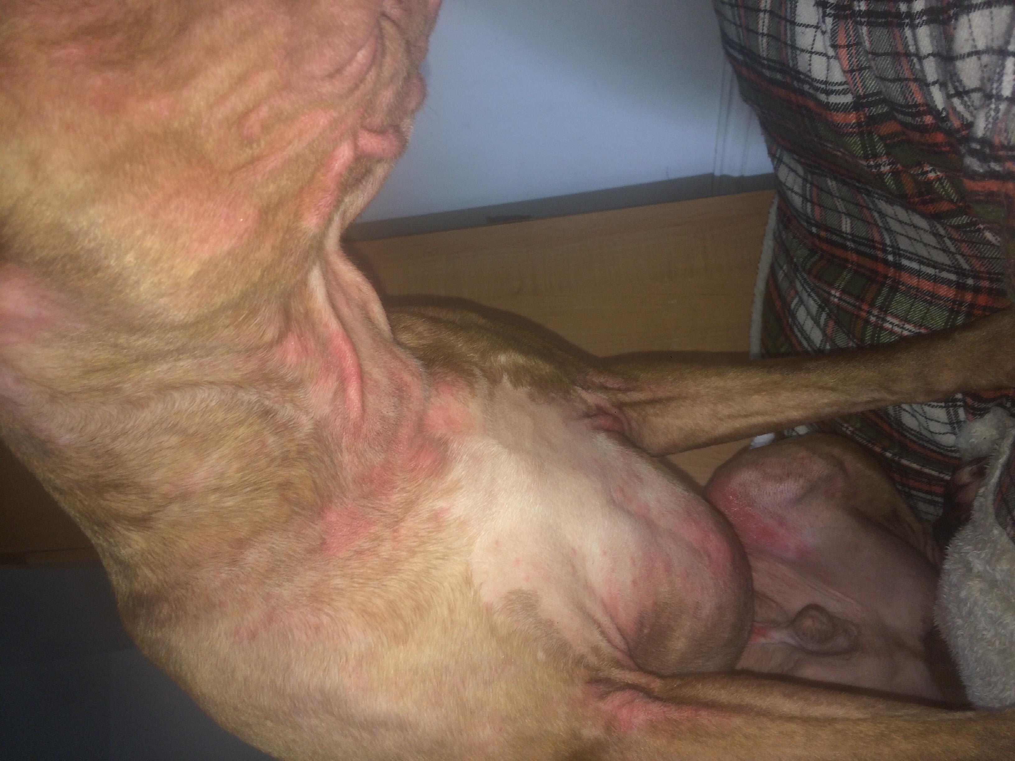 Question details sensitive content