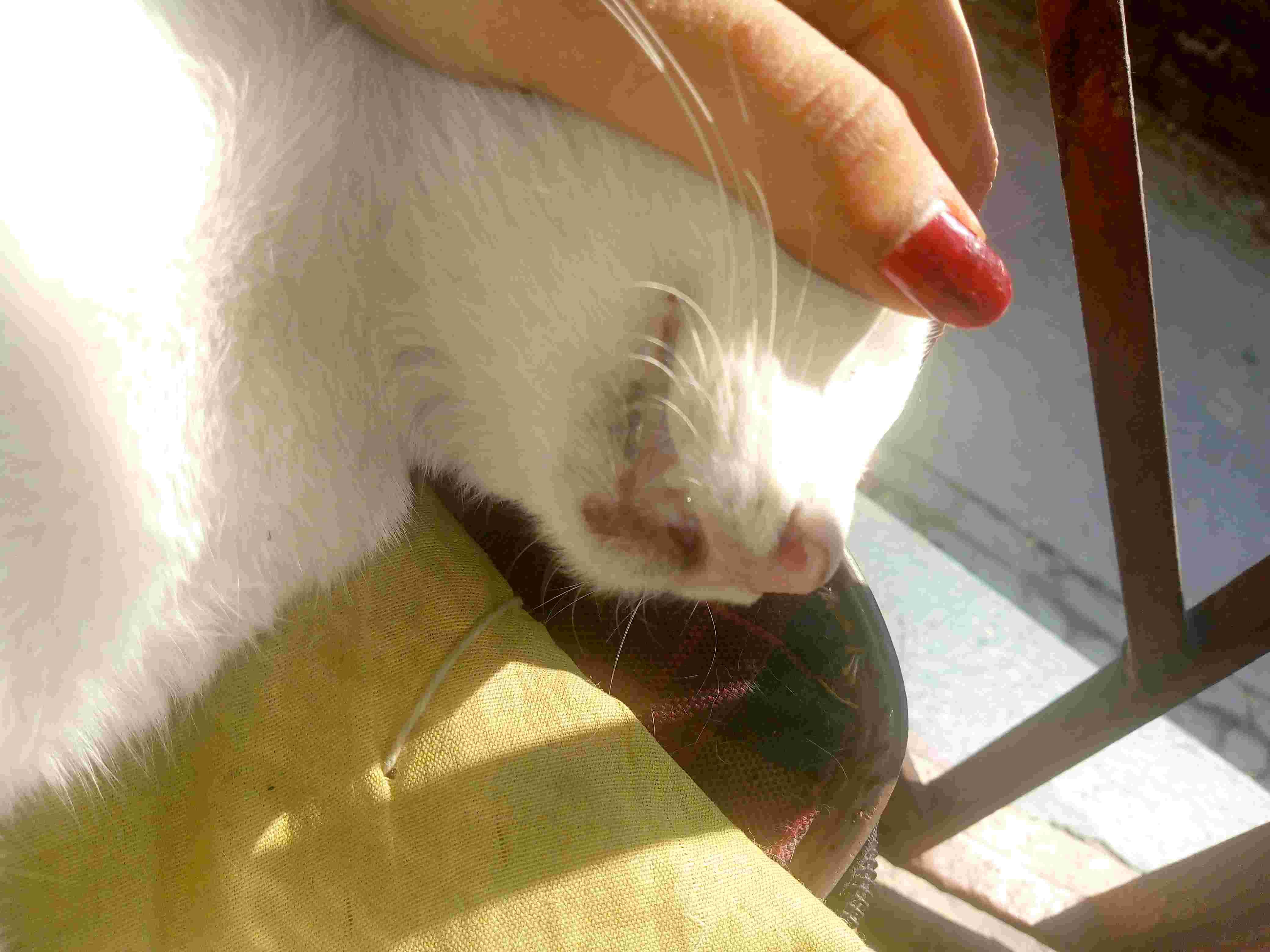 Question details sensitive content