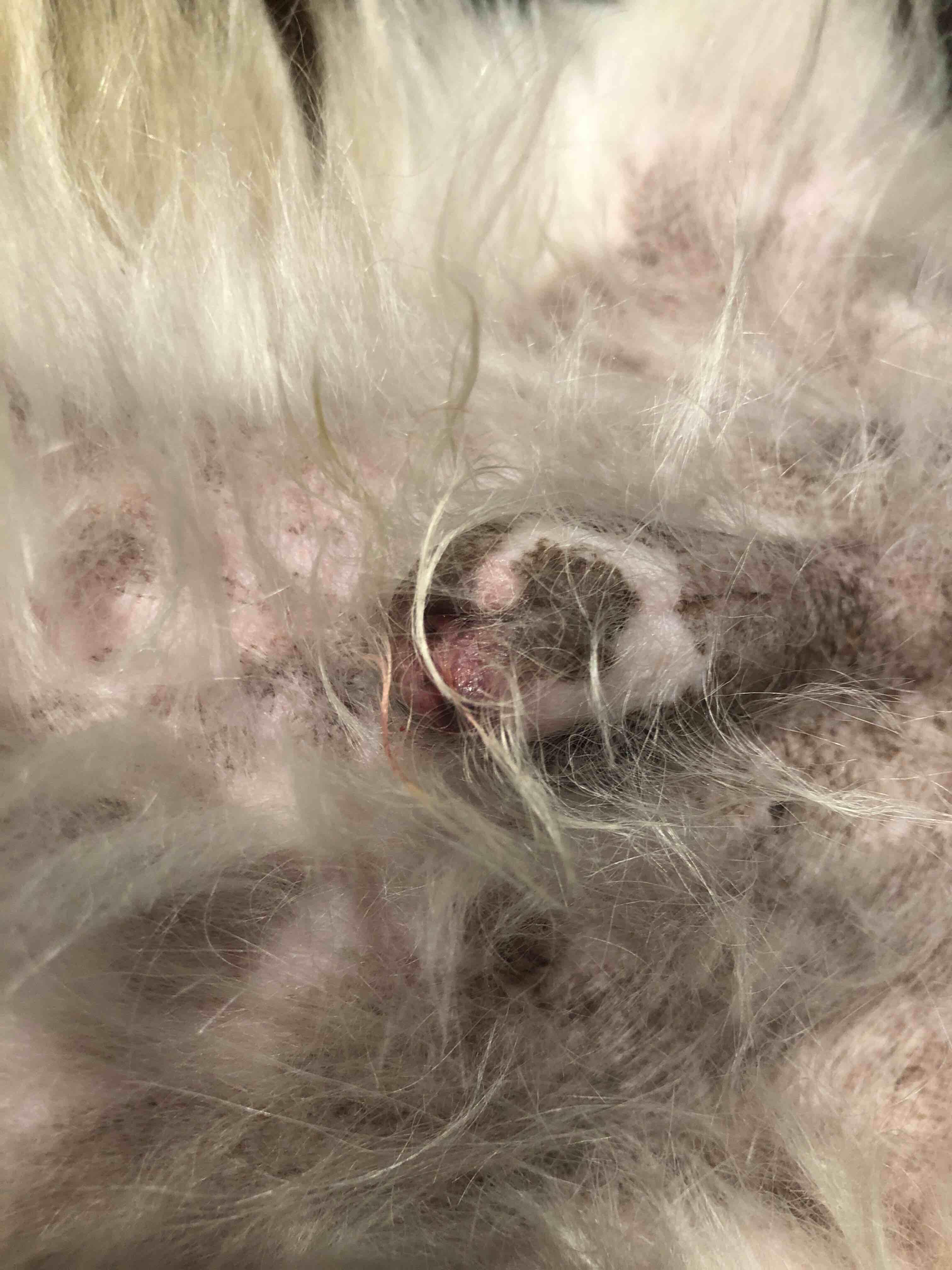 Question details sensitive content