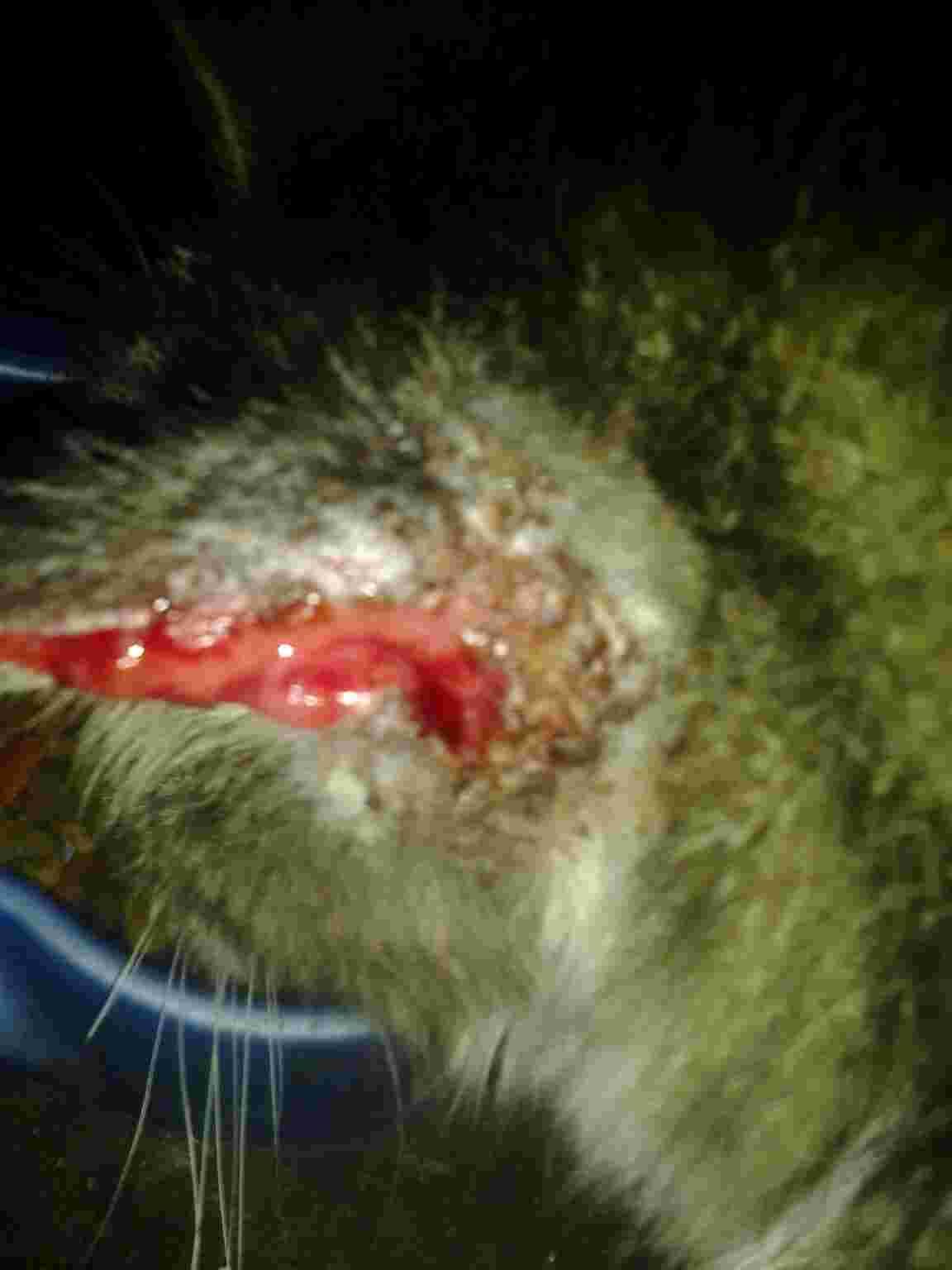 Question details sensitive content