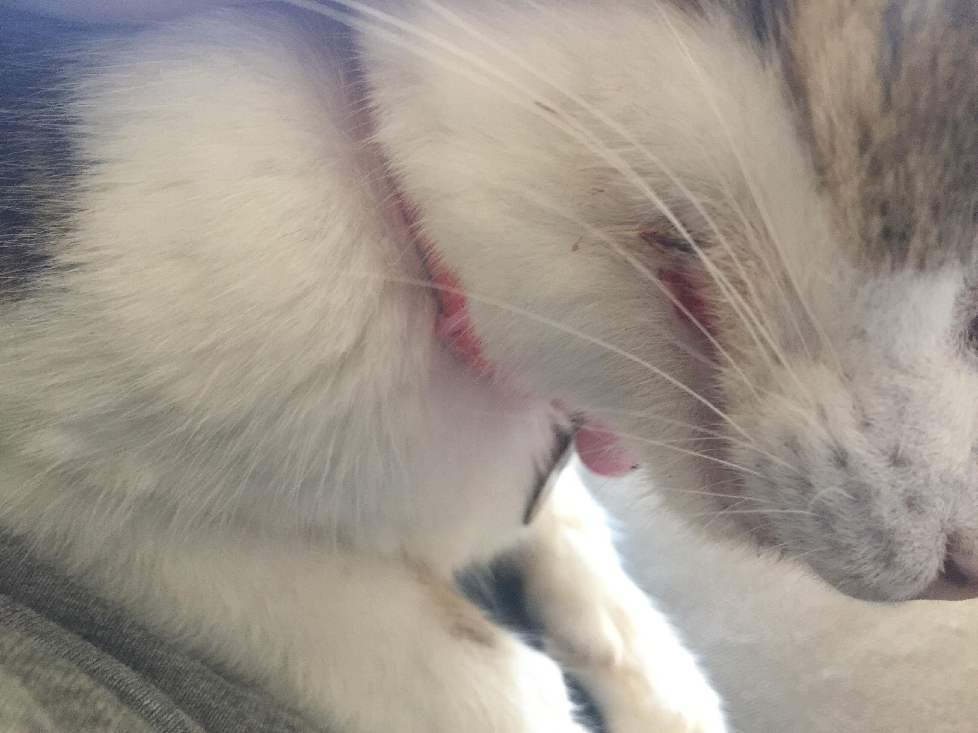 Question details sensitive content