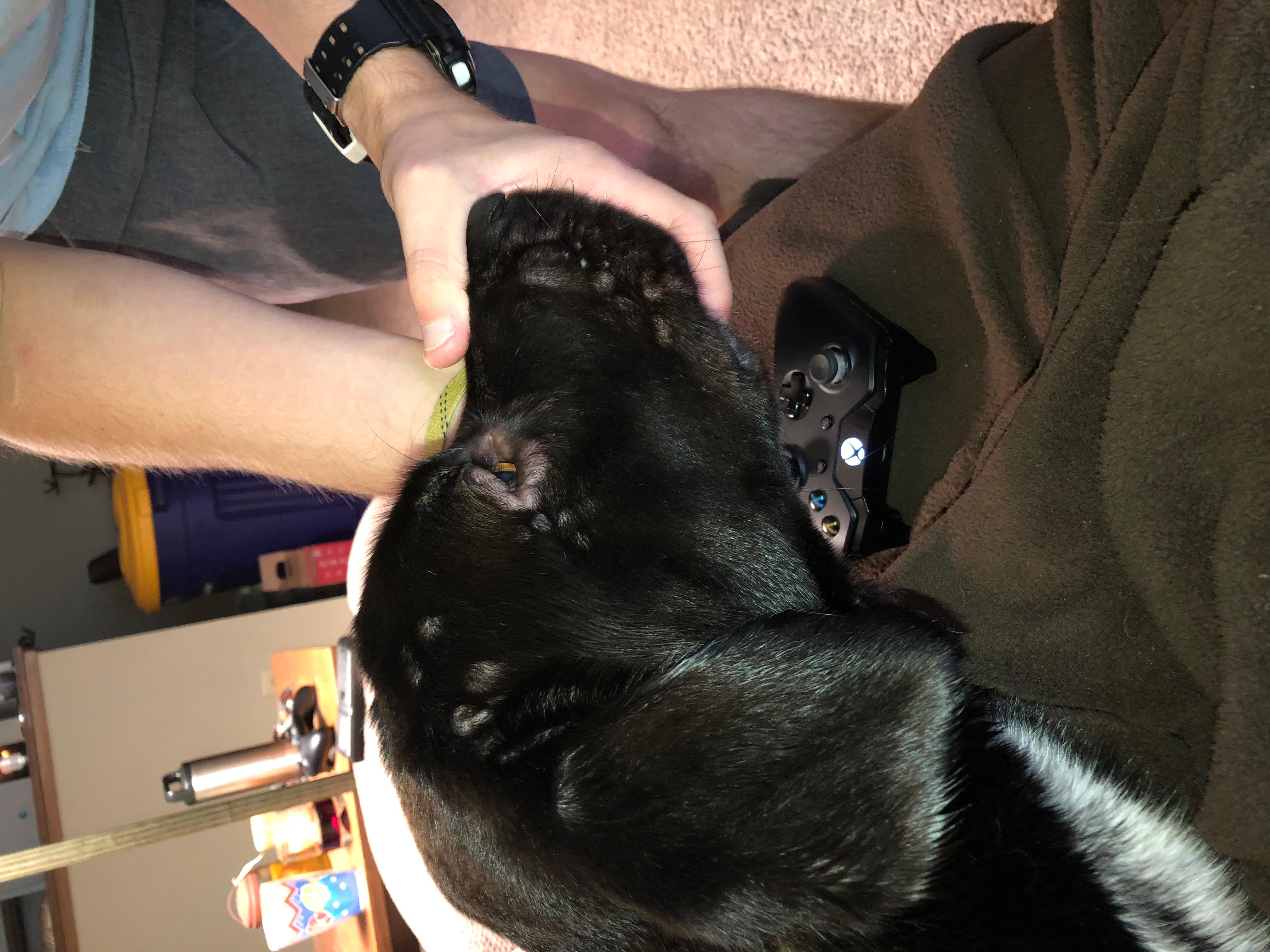 Question details sensitive content