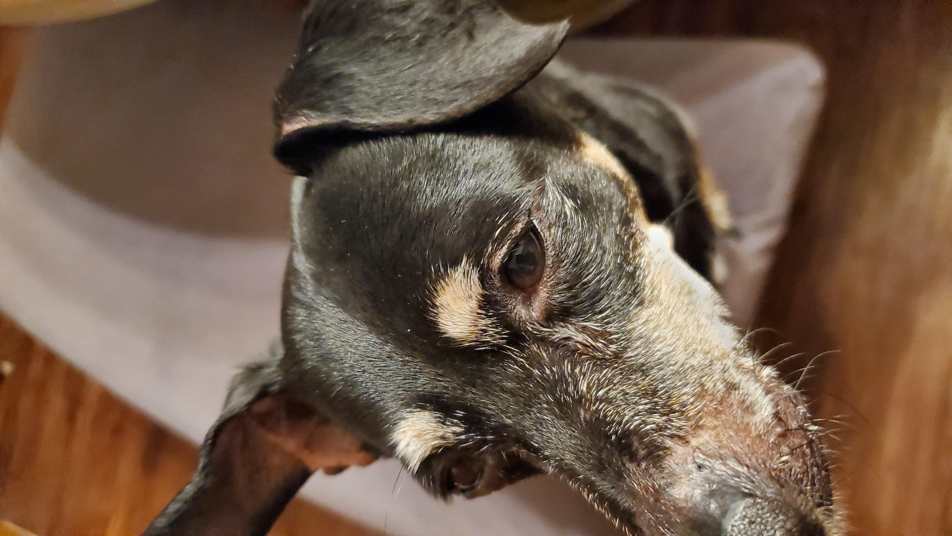 Question details sensitive content