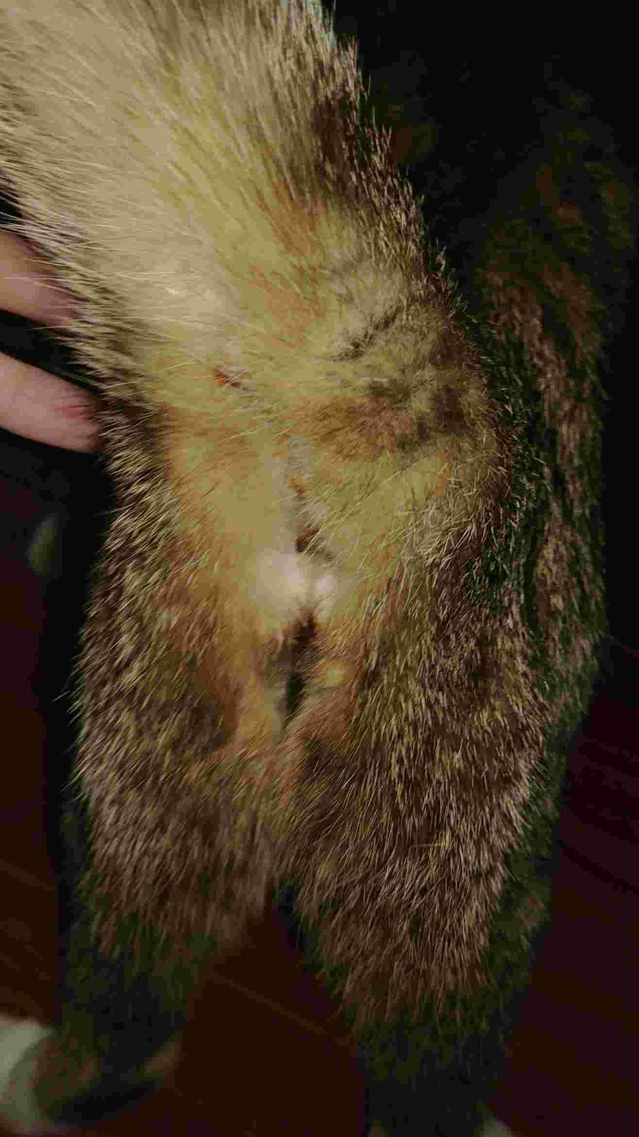 Question details sensitive content