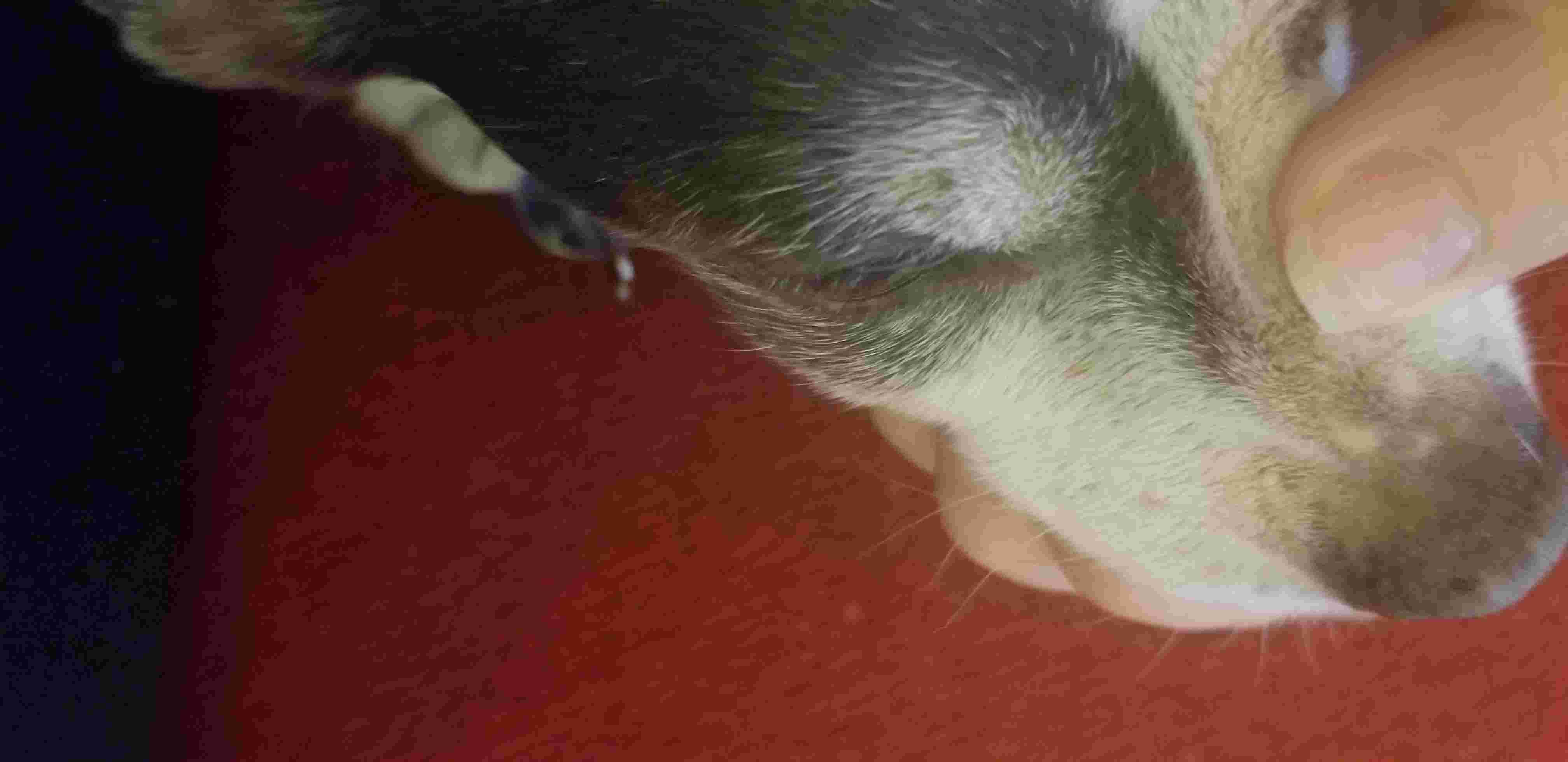 Question details sensitive content