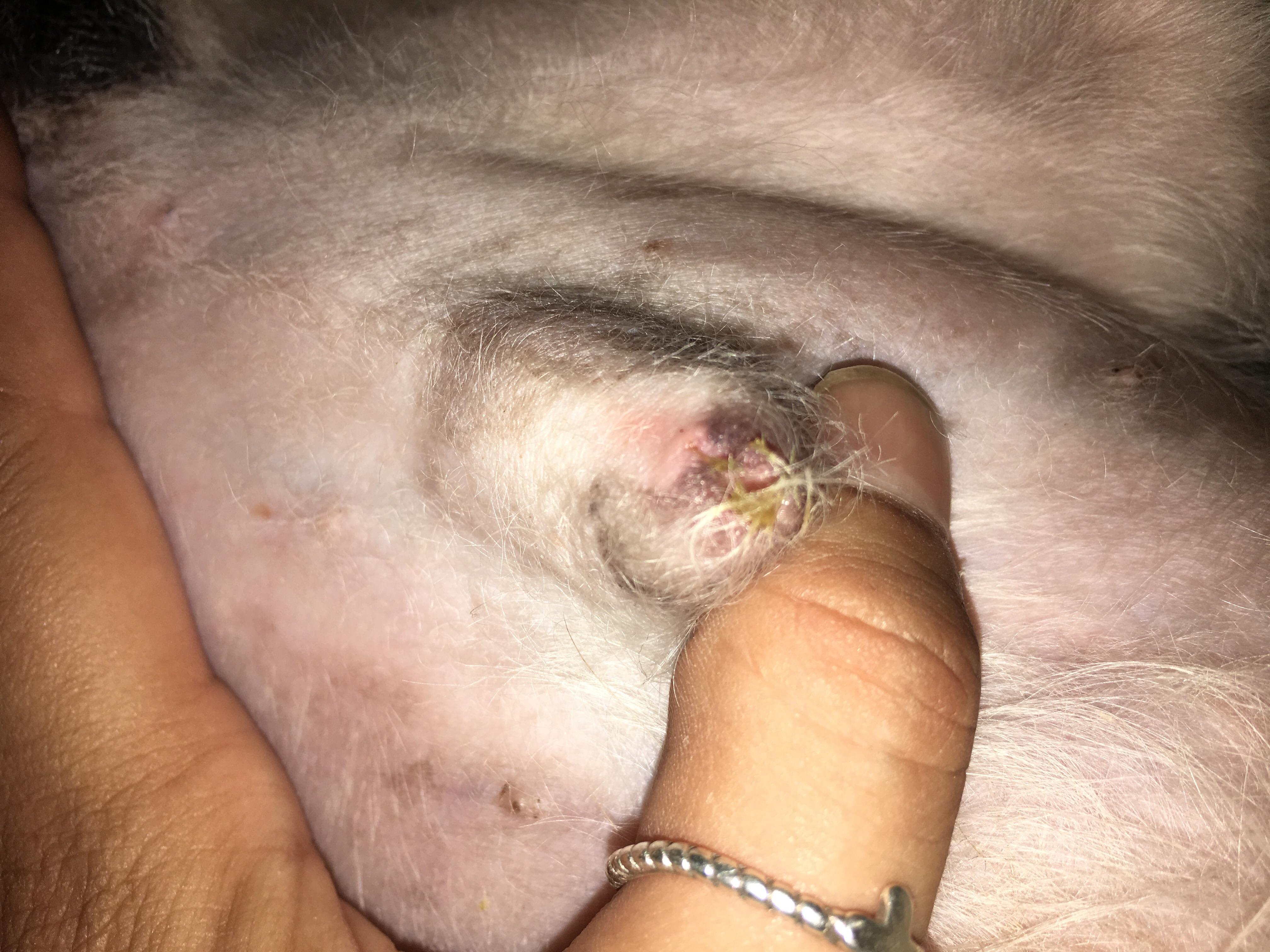 Question details sensitive content