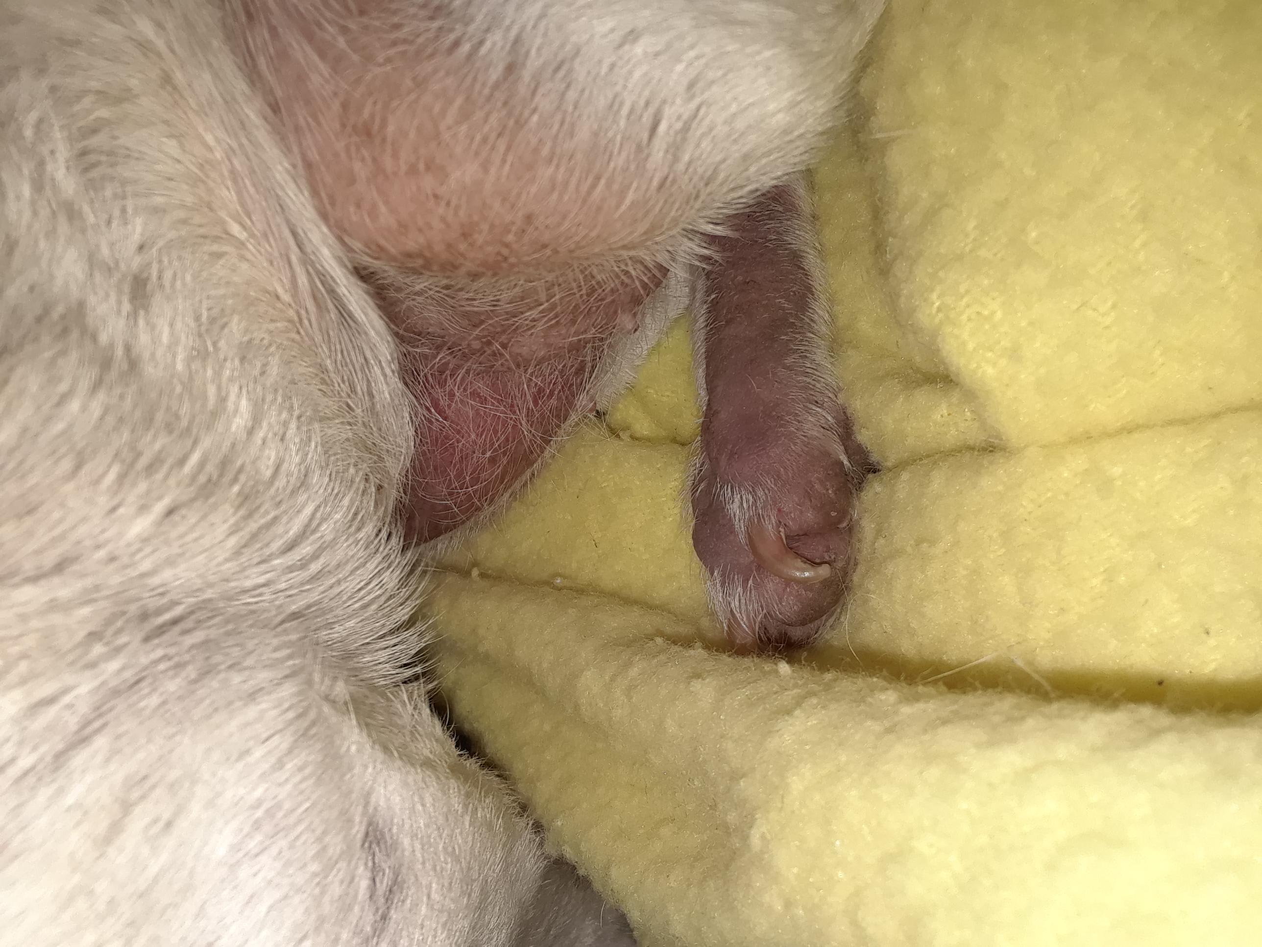 Question details sensitive content