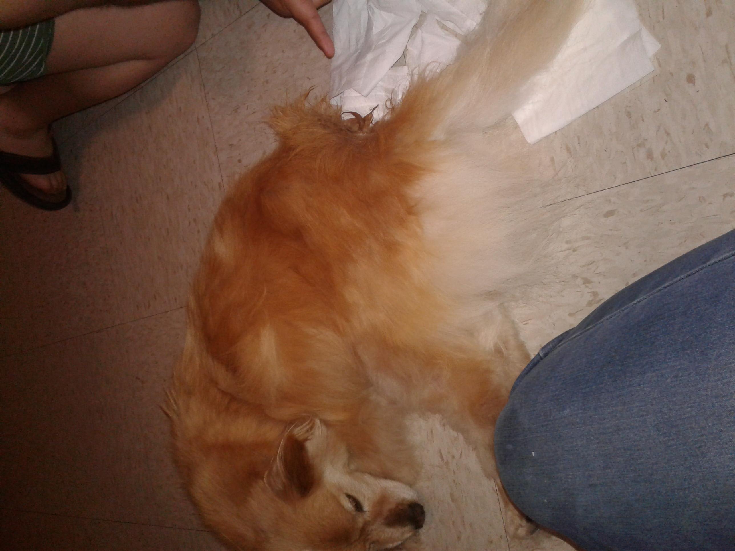 Question details sensitive content