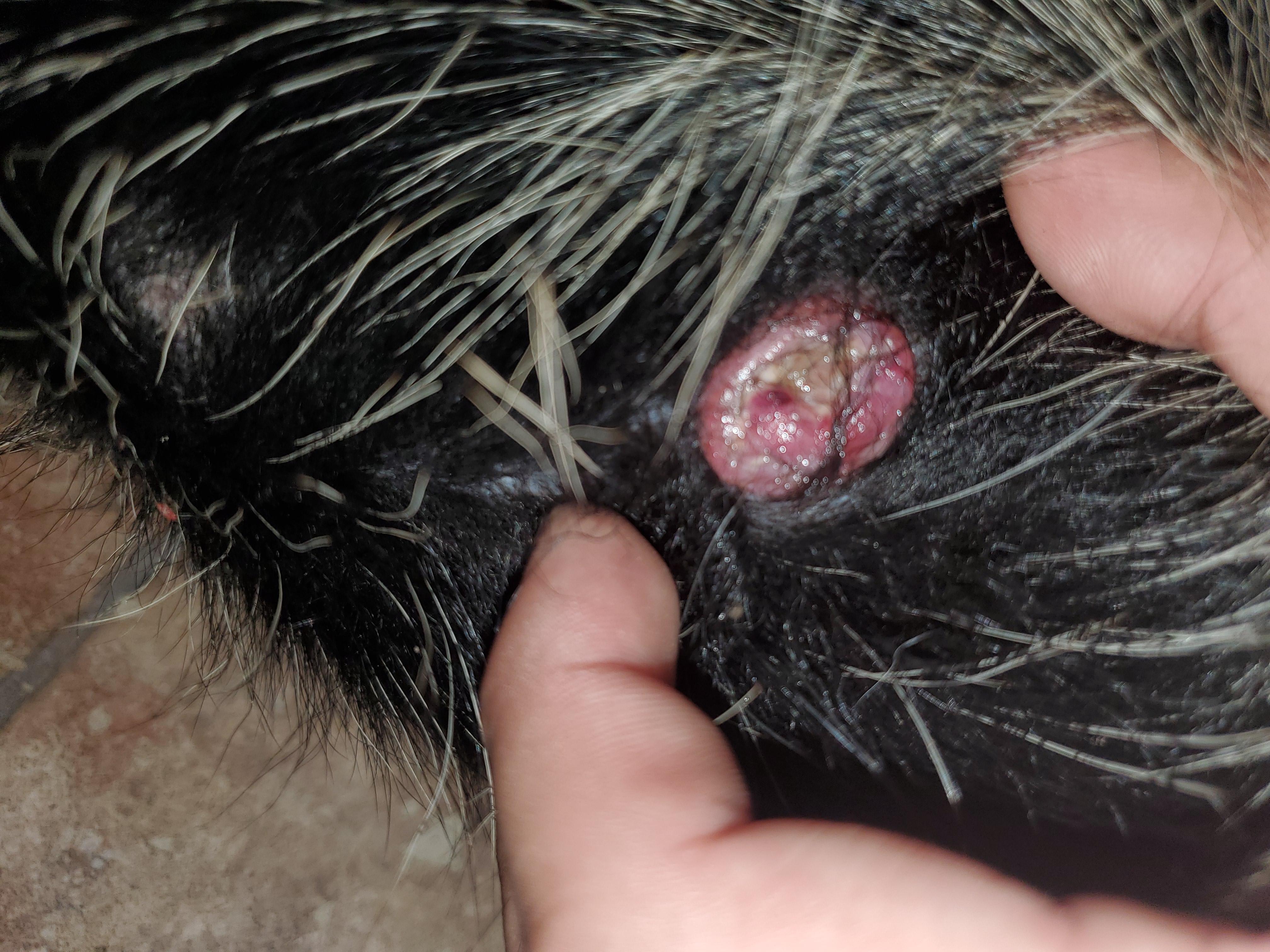 Question details sensitive content