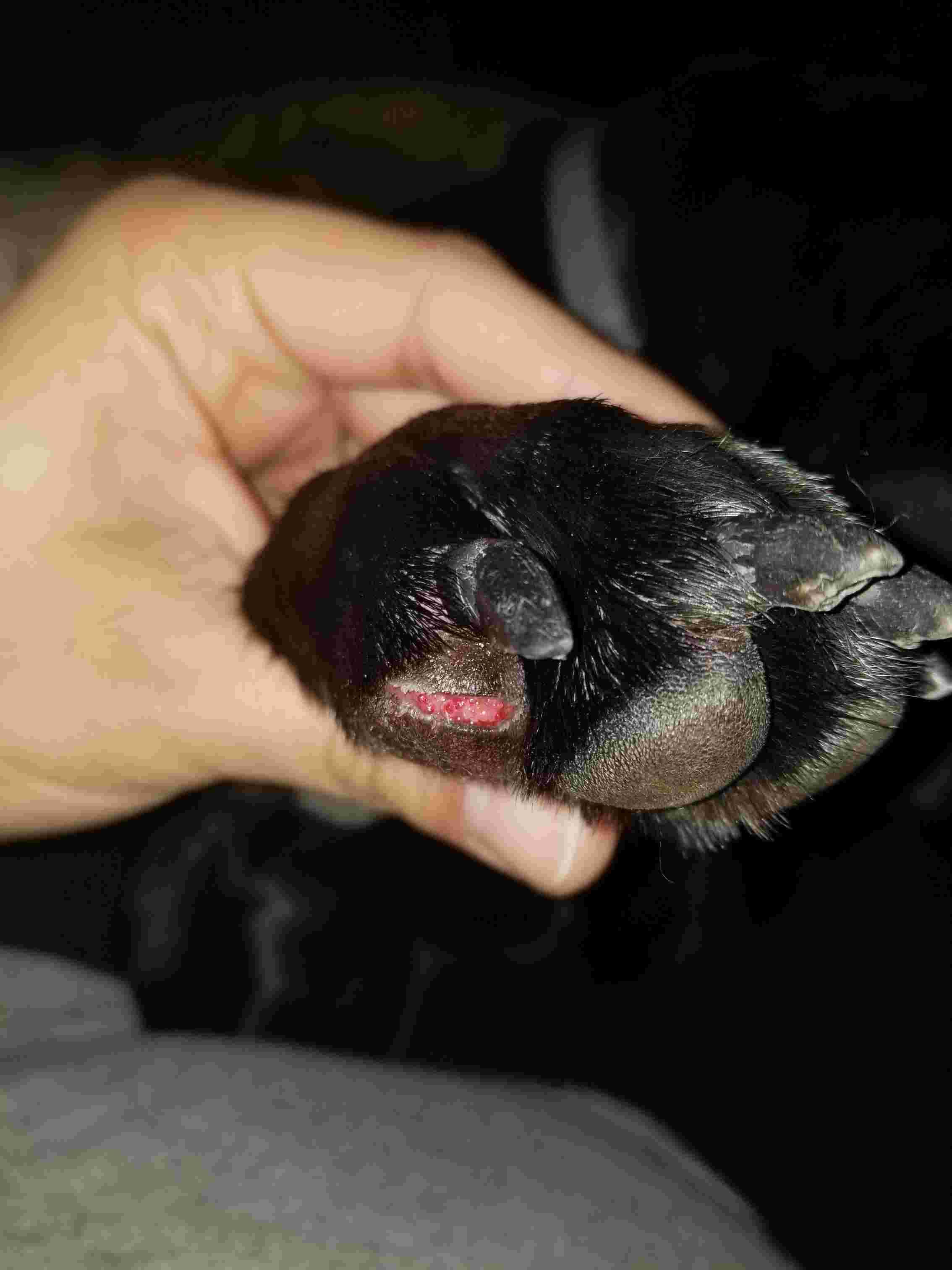 Question details sensitive content