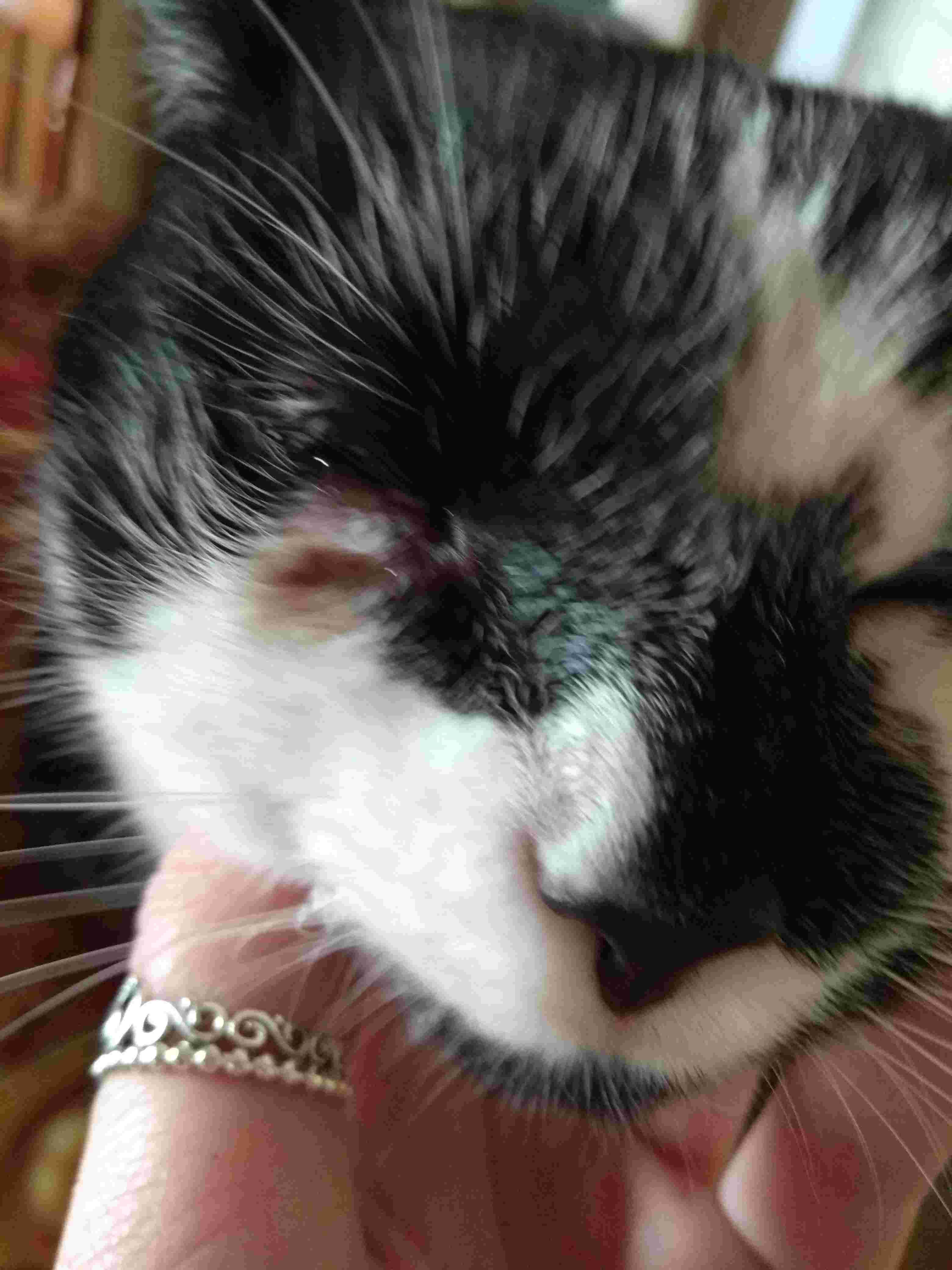 Question details sensitive content