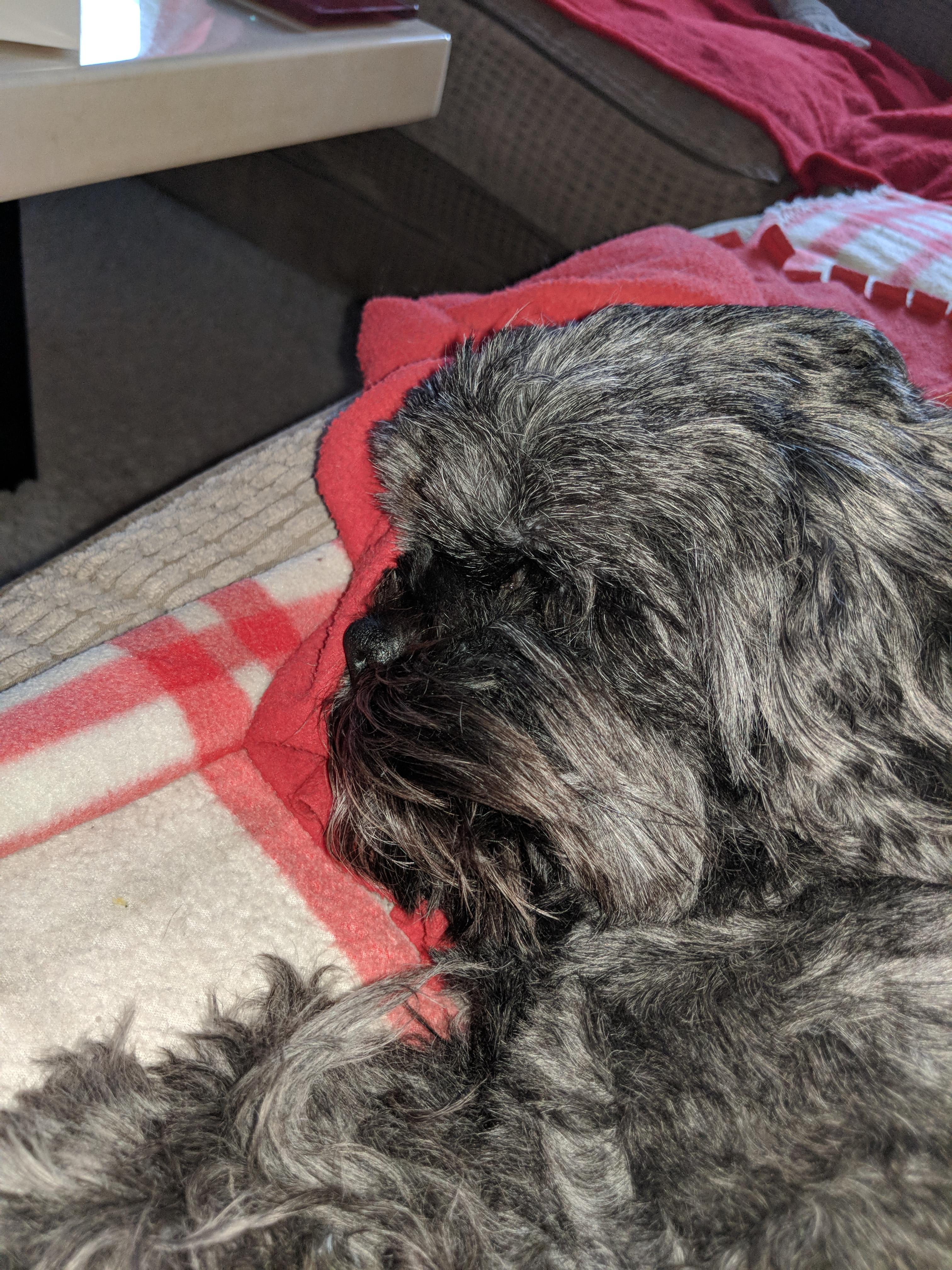 Question details sensitive content