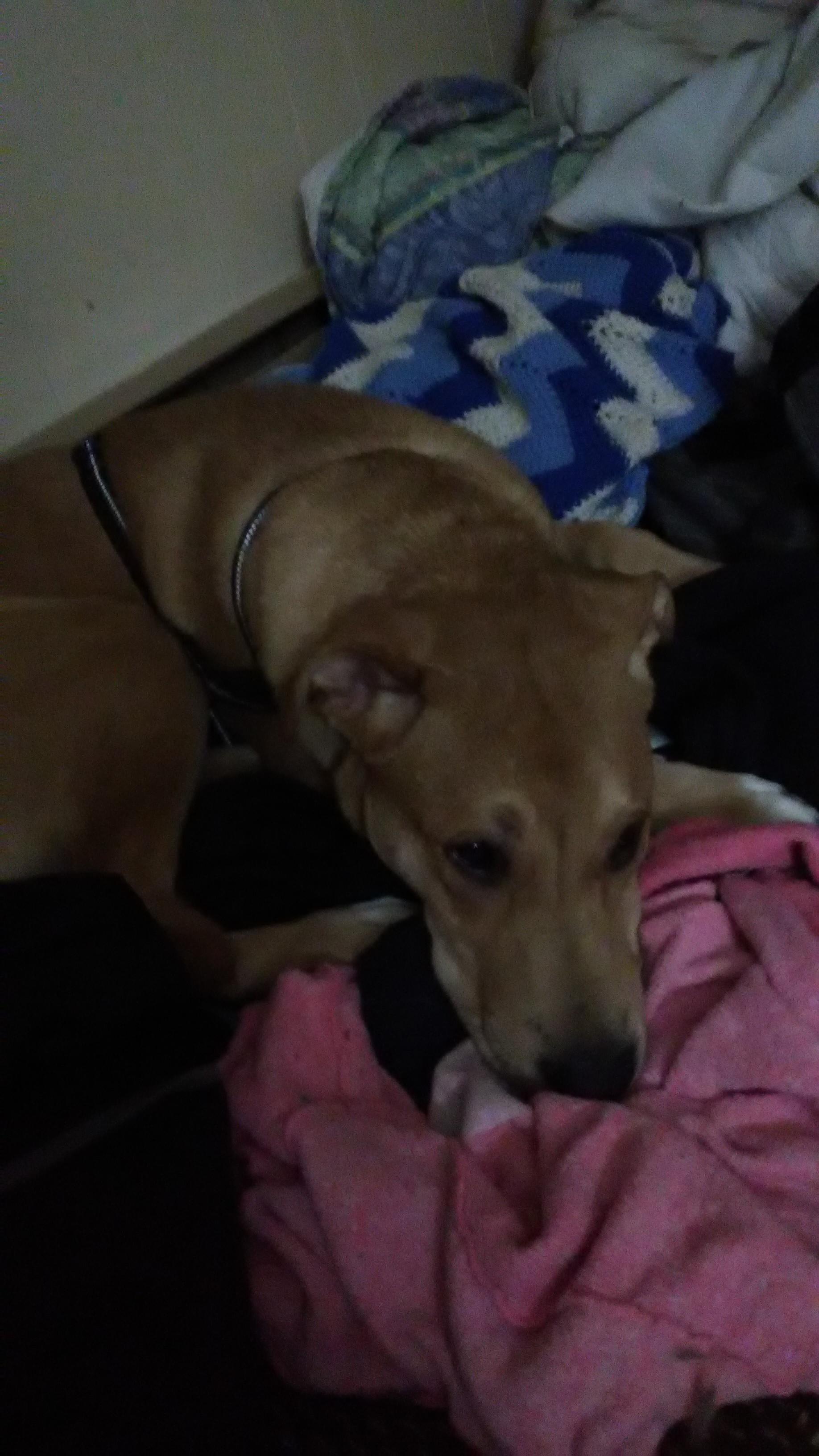 Question details sensitive content