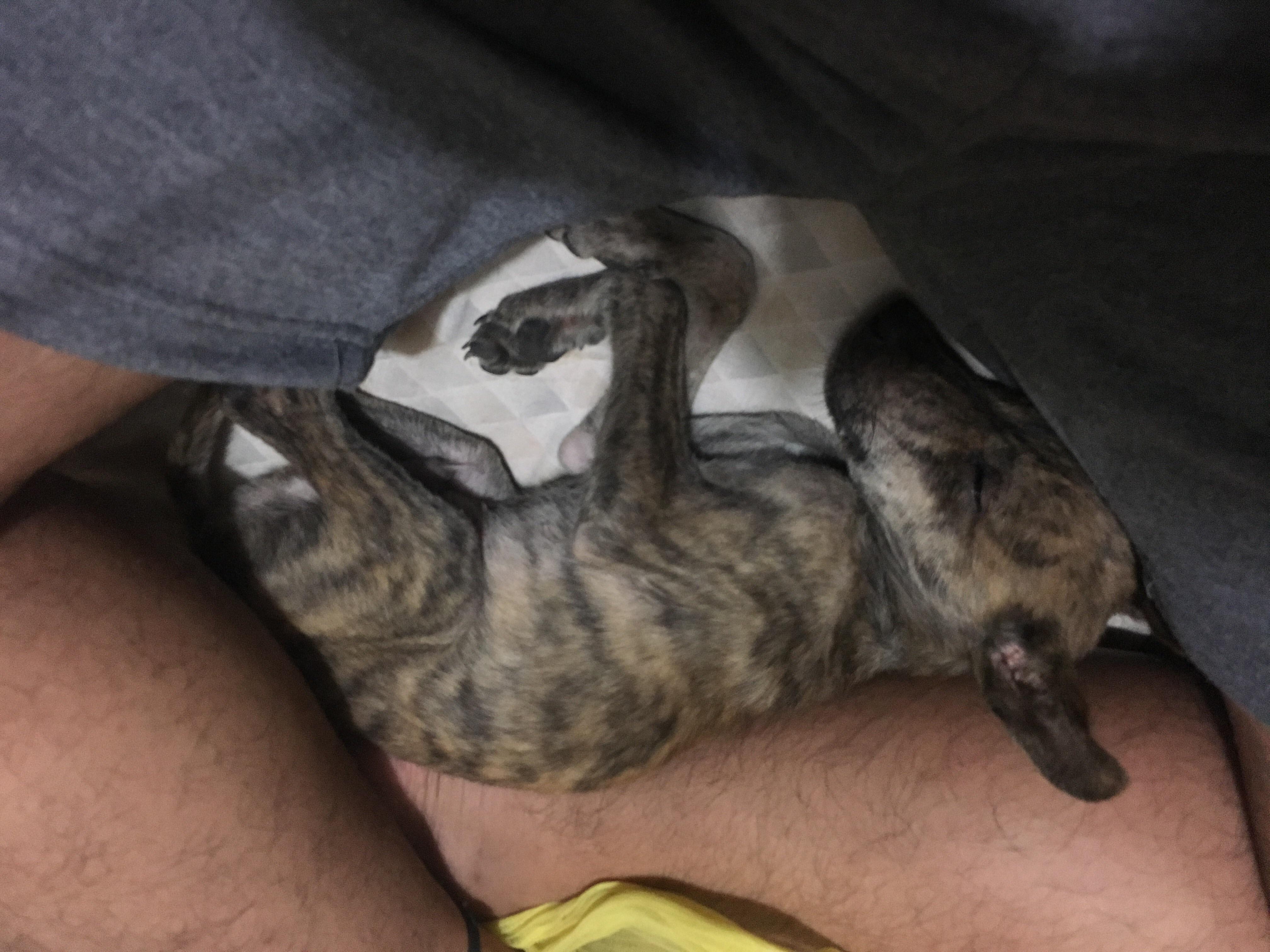 Question details sensitive content