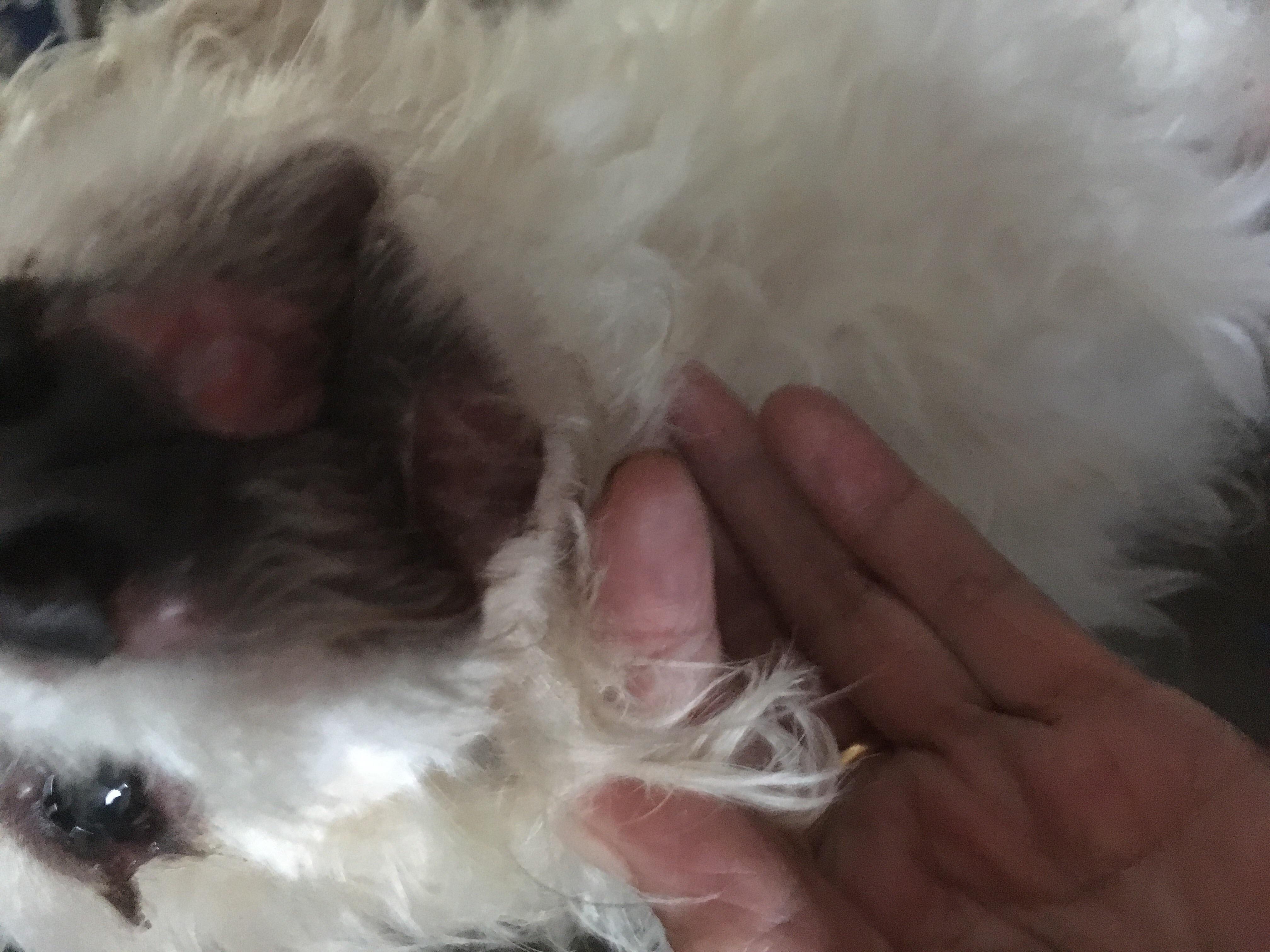 Question details sensitive content