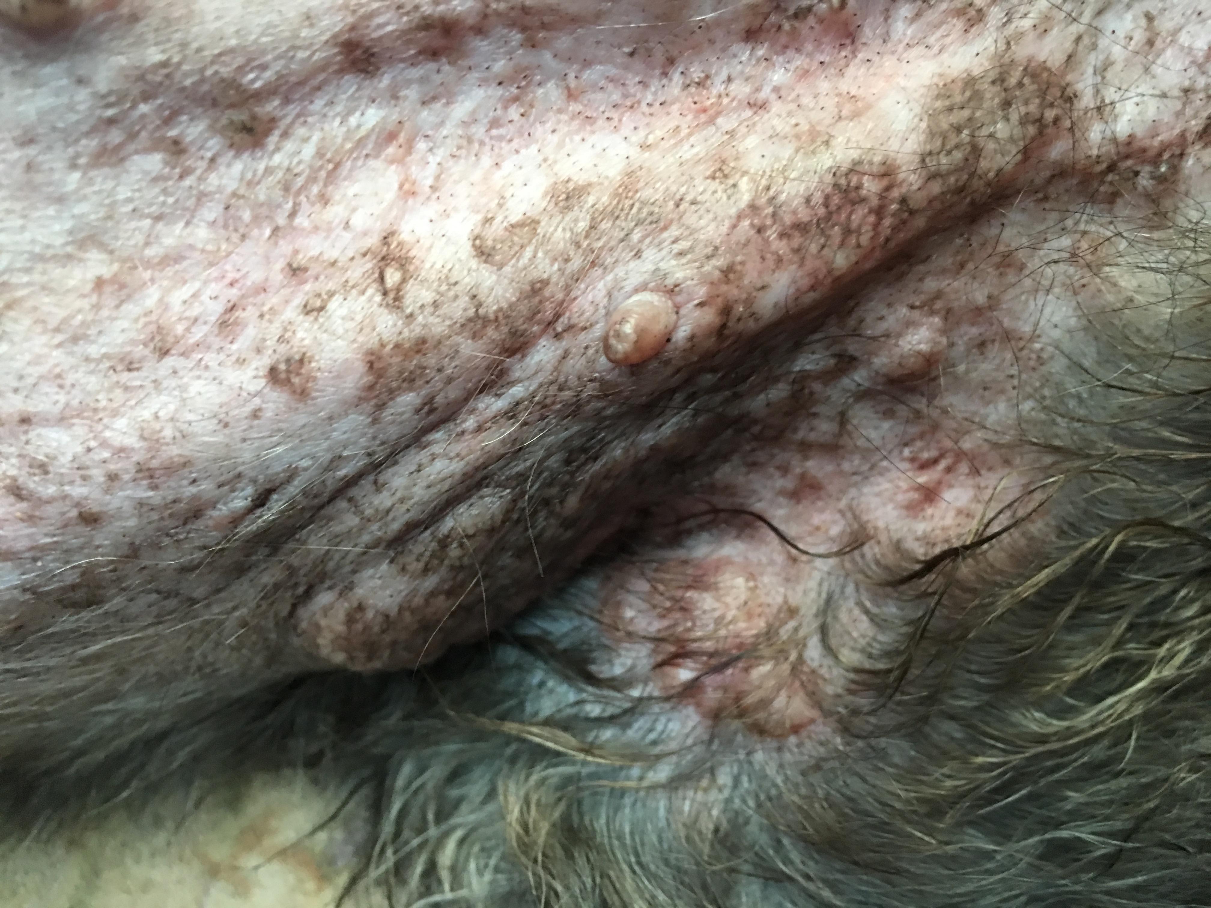 Question details sensitive content