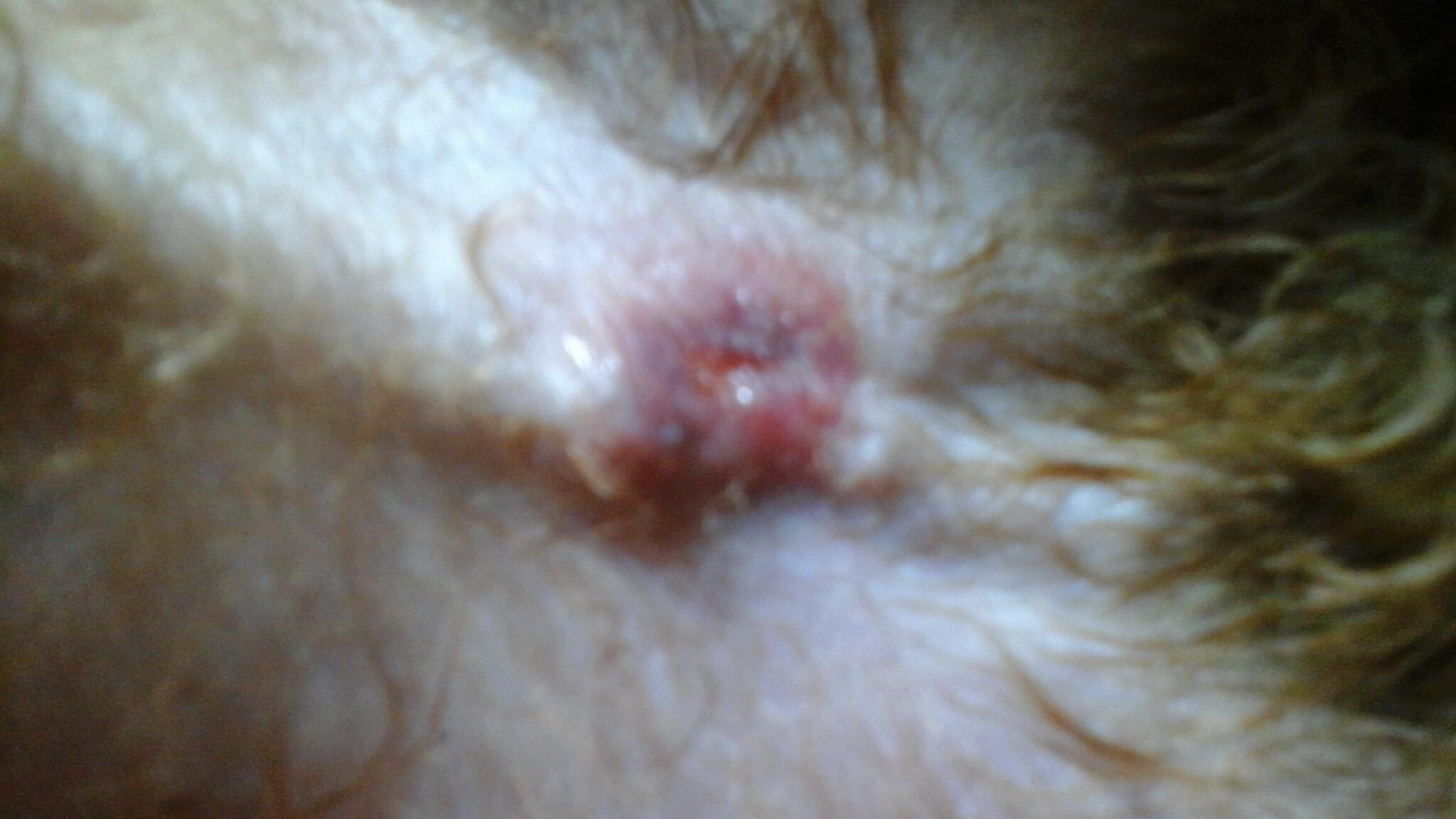 Question details sensitive content