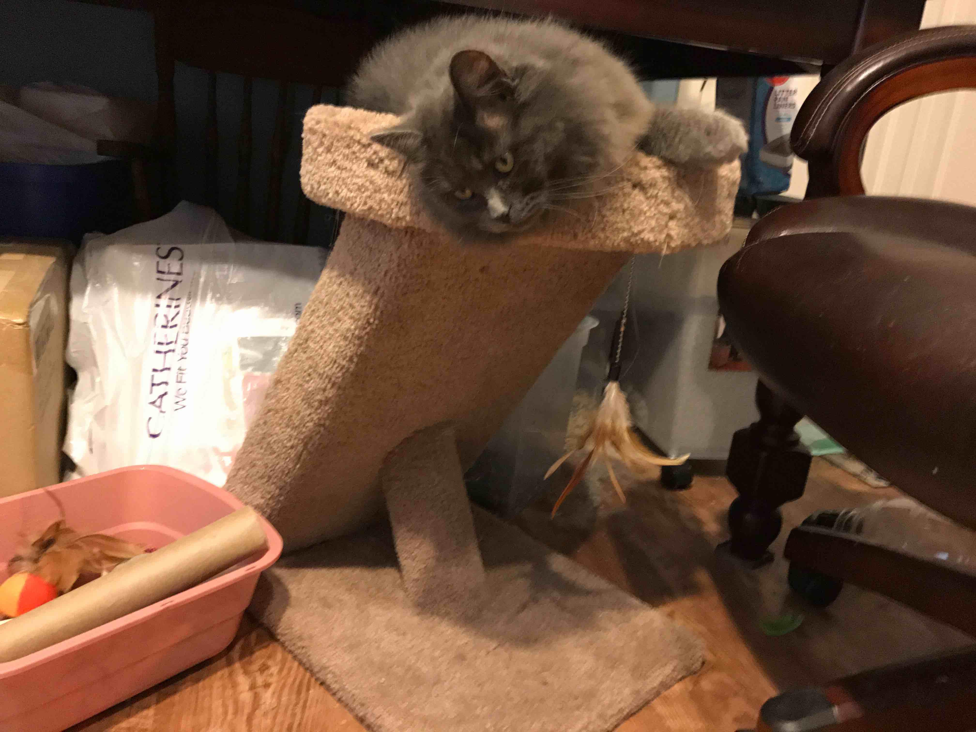 Question details sensitive content