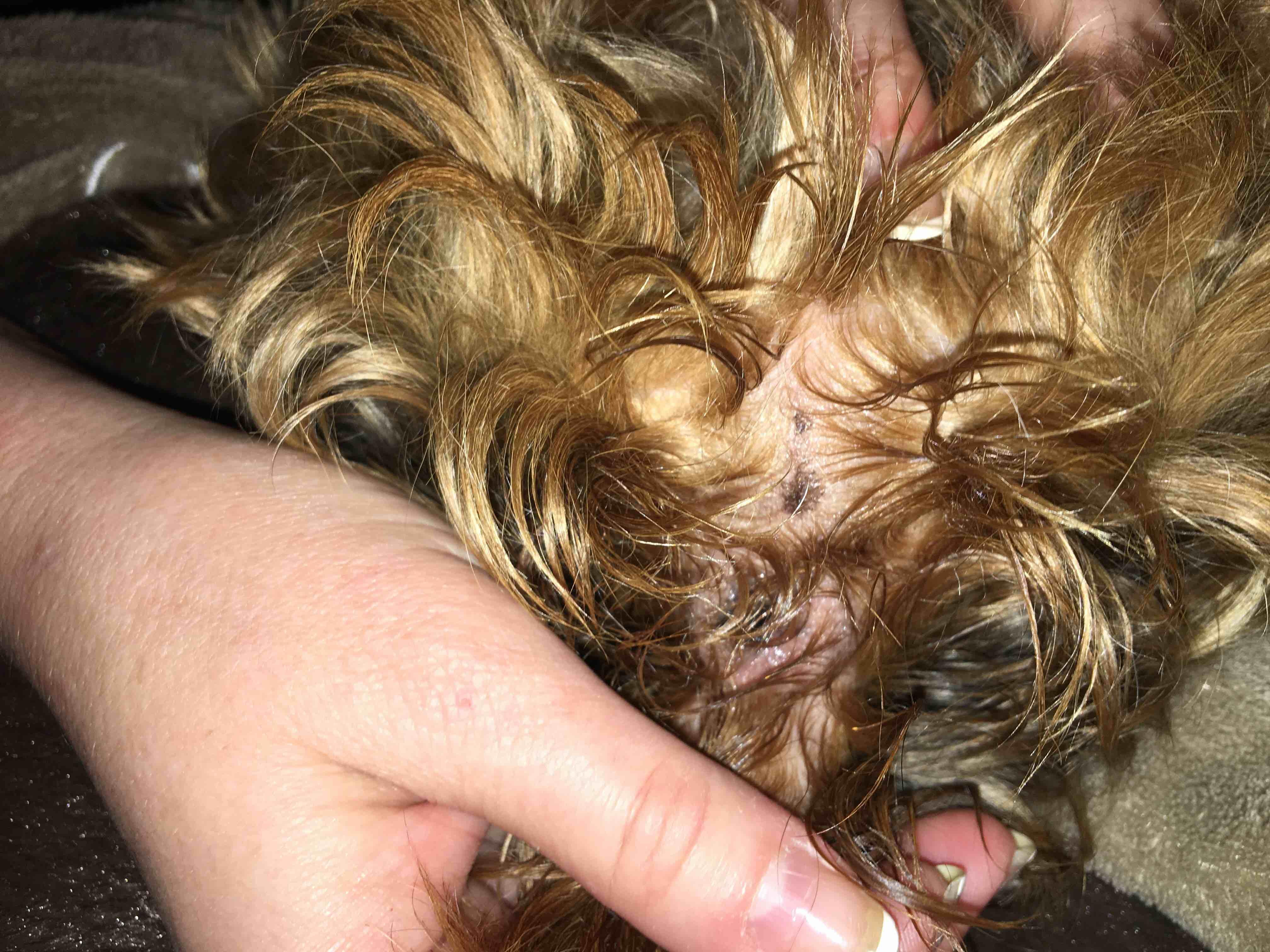 Question details sensitive content