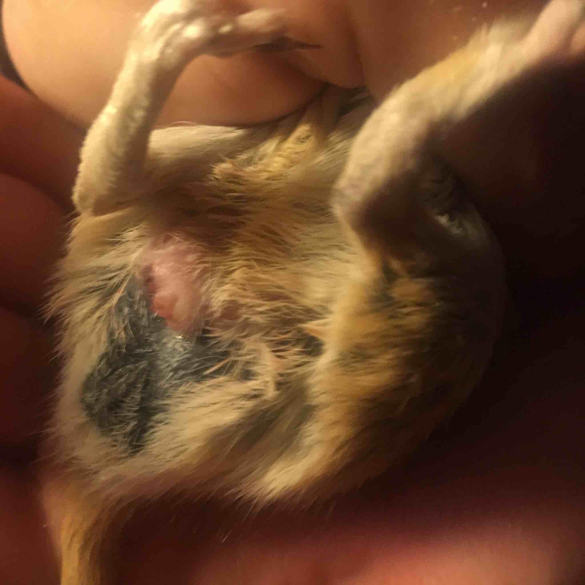 Question details sensitive content