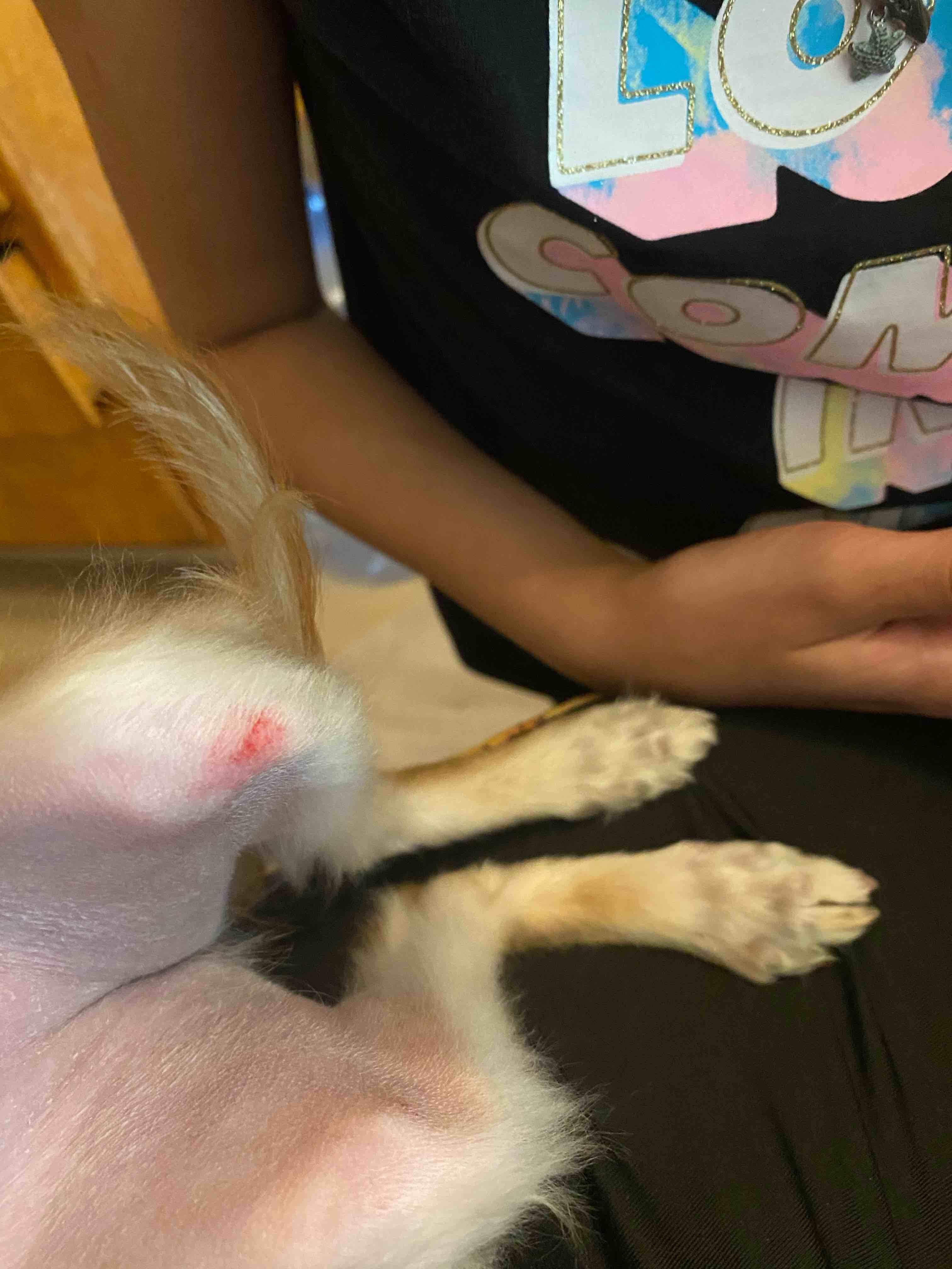 Question details sensitive content