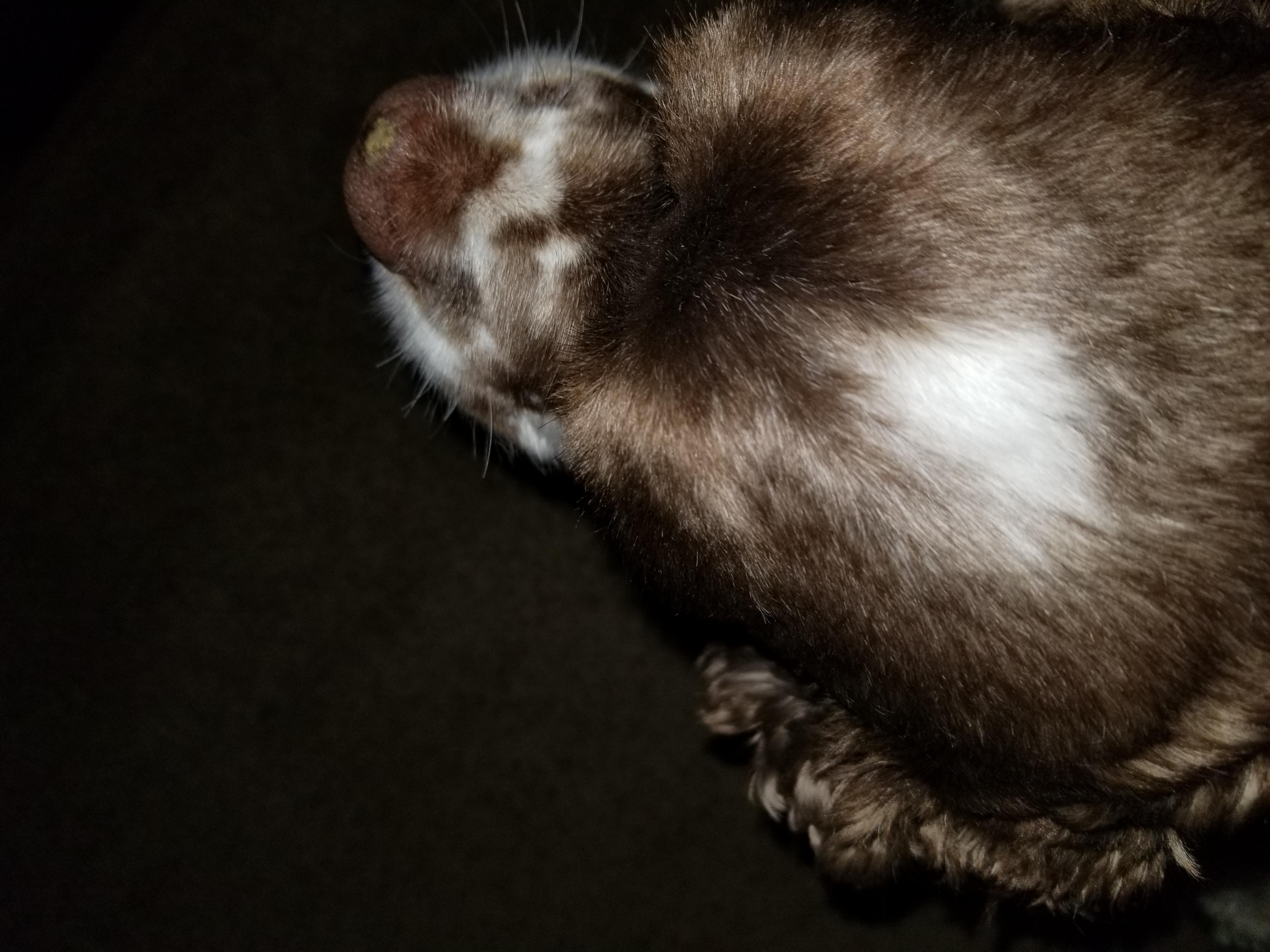 Question details sensitive content